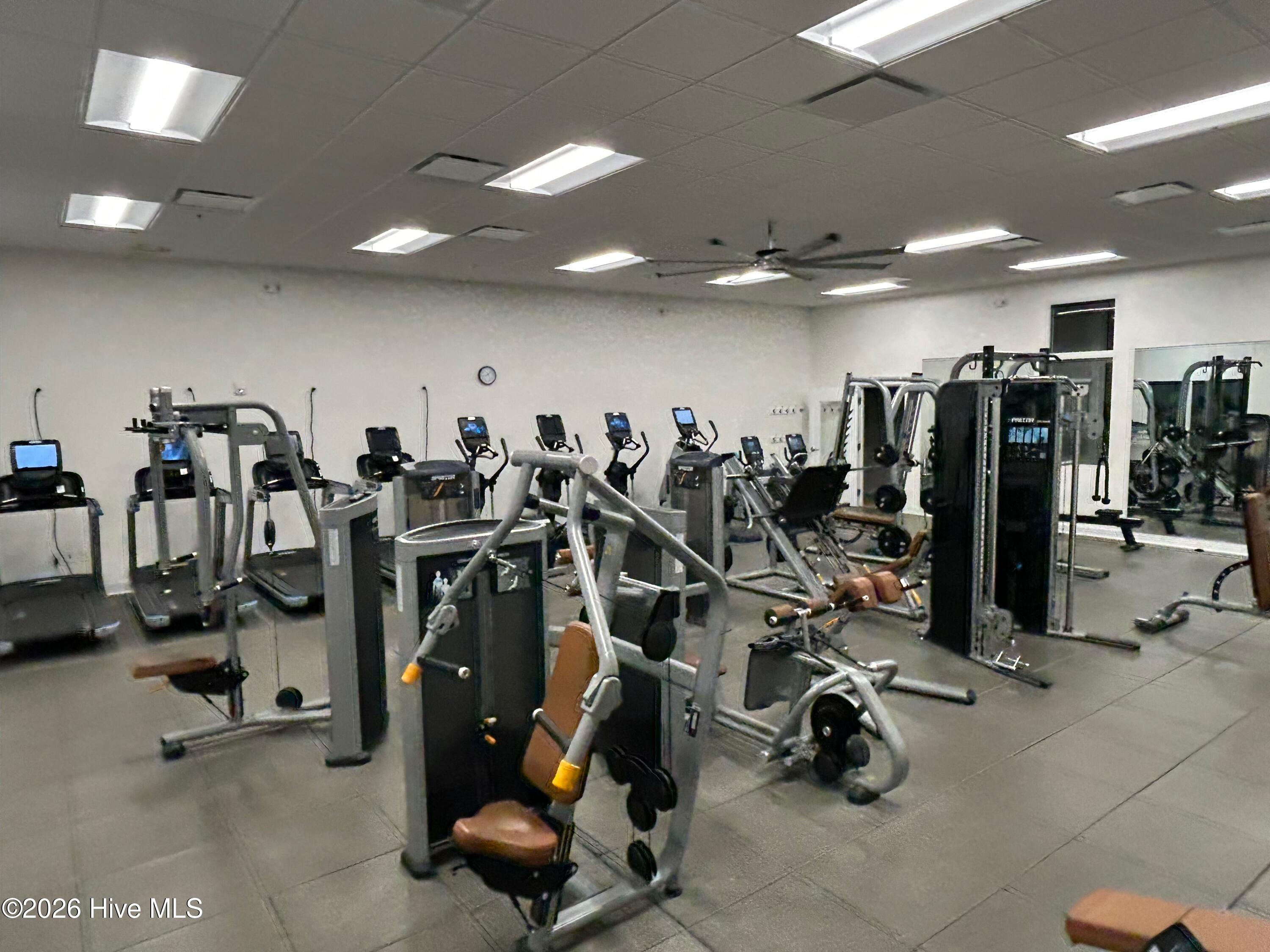 100557593 | Photo 45