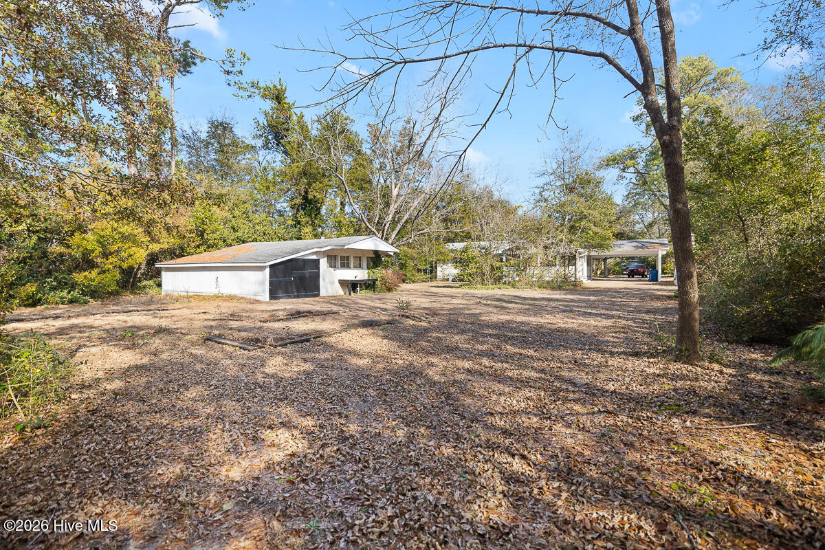 100548409 | Photo 32