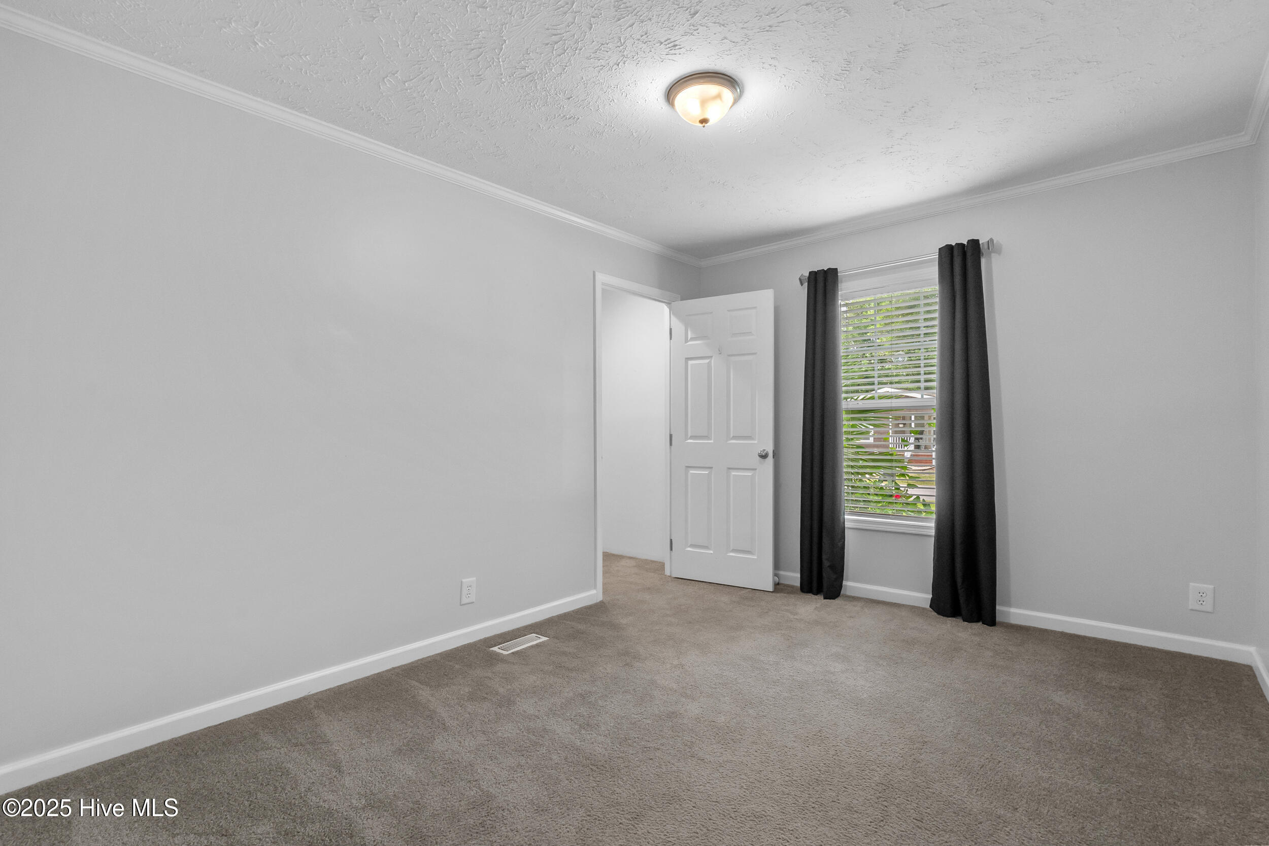 100510798 | Photo 23