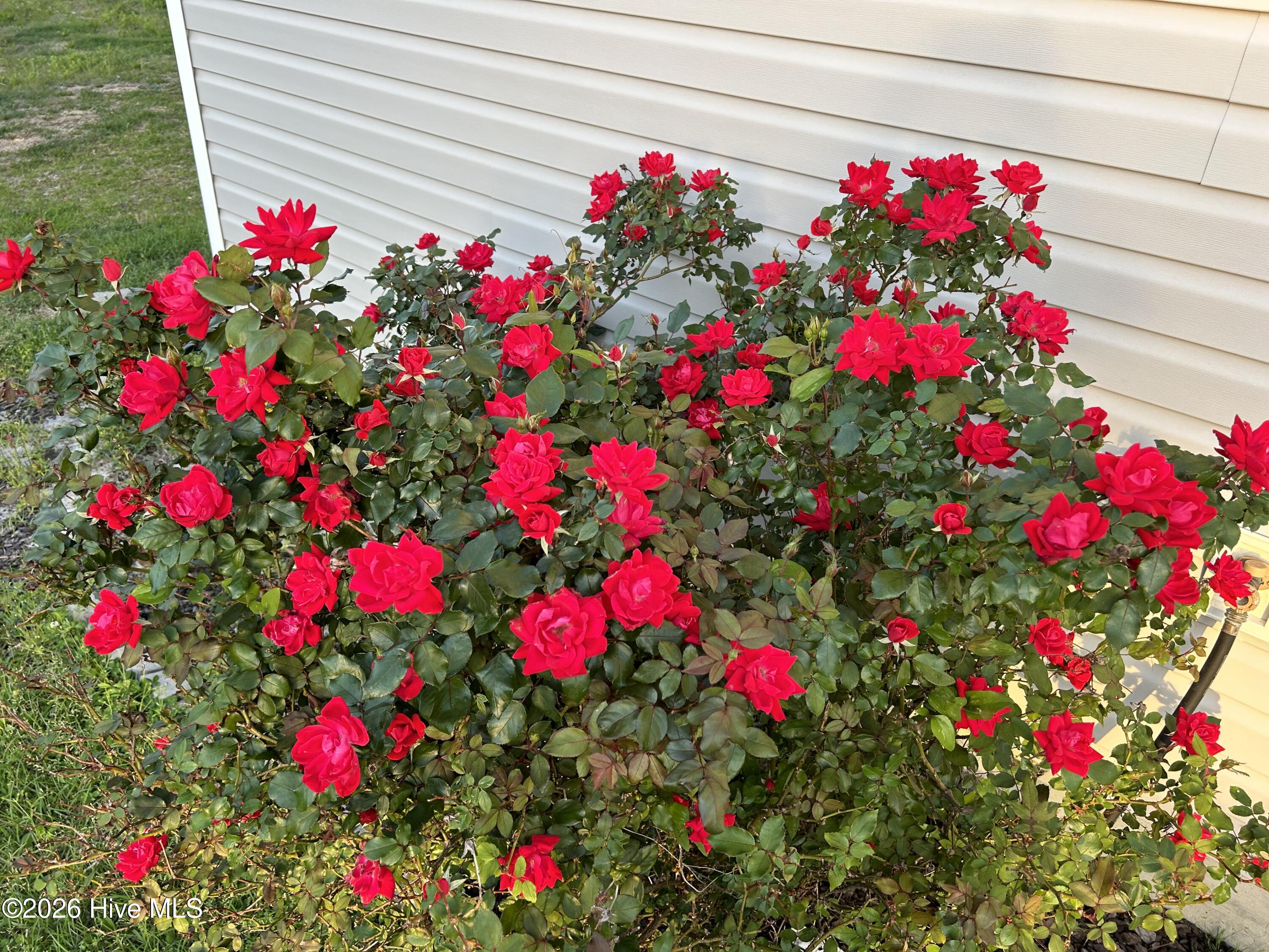 100549687 | Photo 72