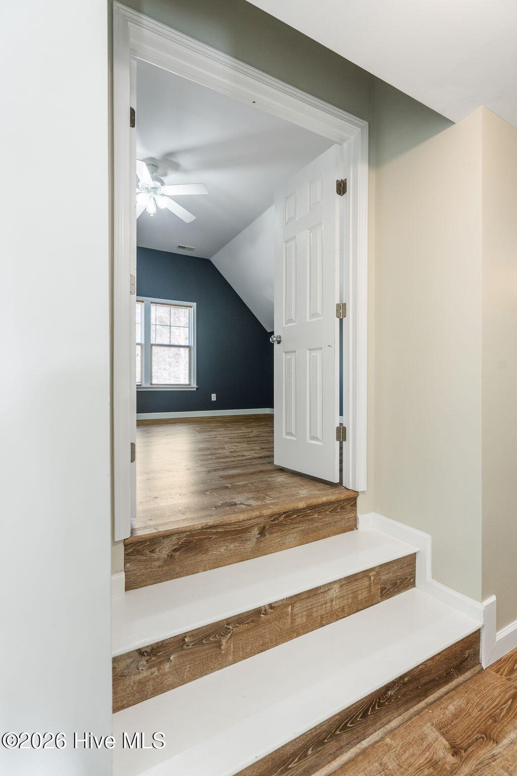 100558662 | Photo 45