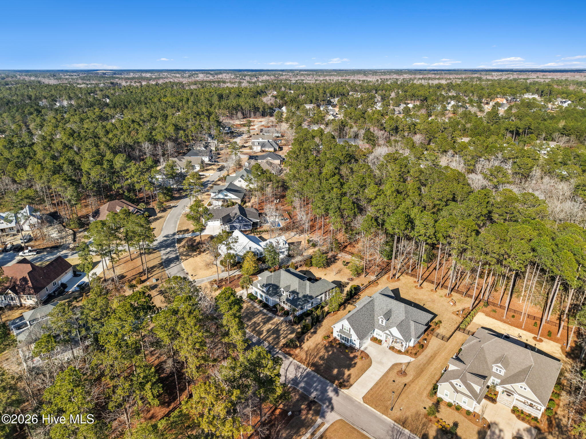 100560975 | Photo 51