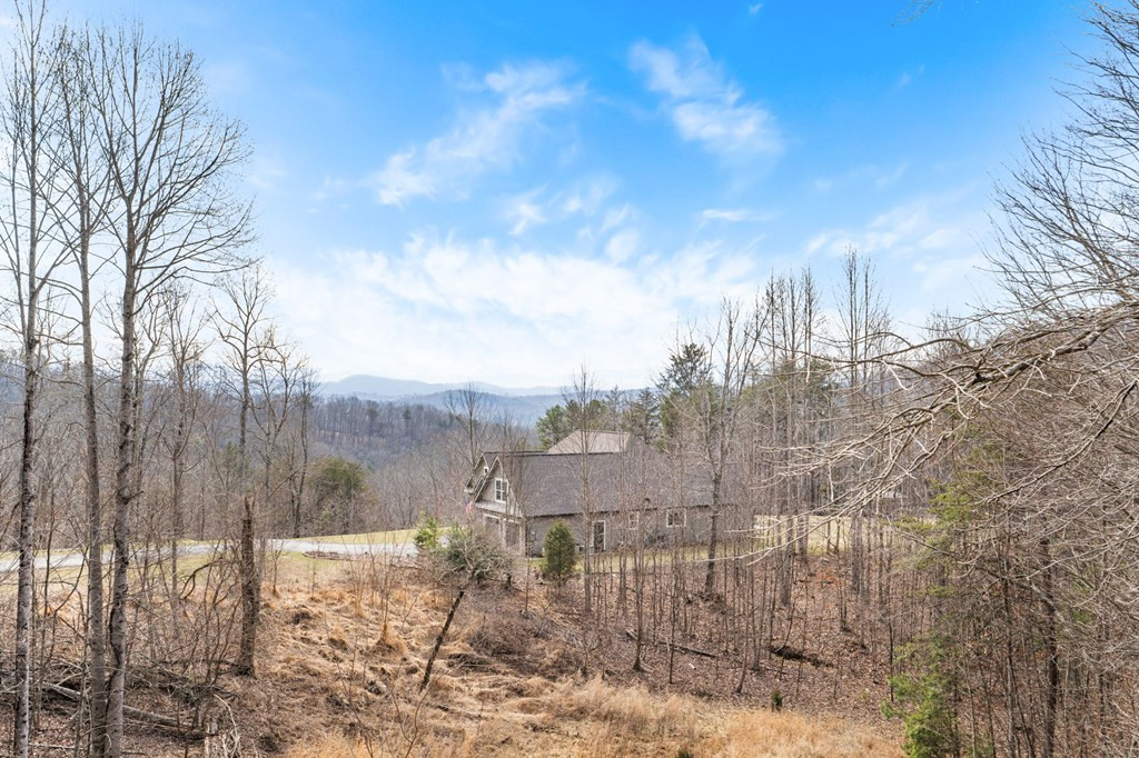 163 Yellow Maple Lane, Murphy, NC 28906 Listing Photo  55