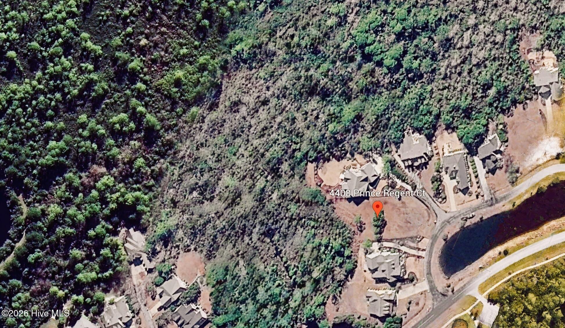 100558707 | Photo 14