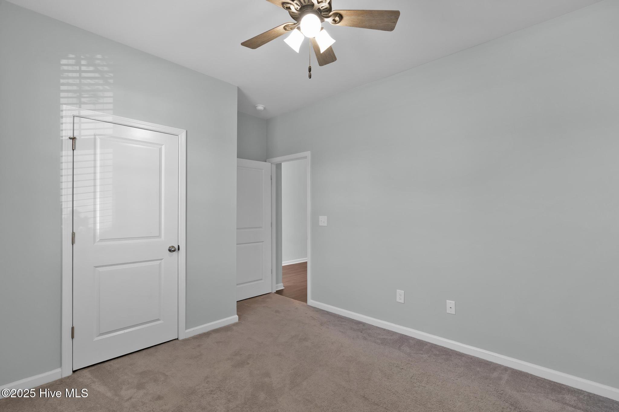 100542071 | Photo 19