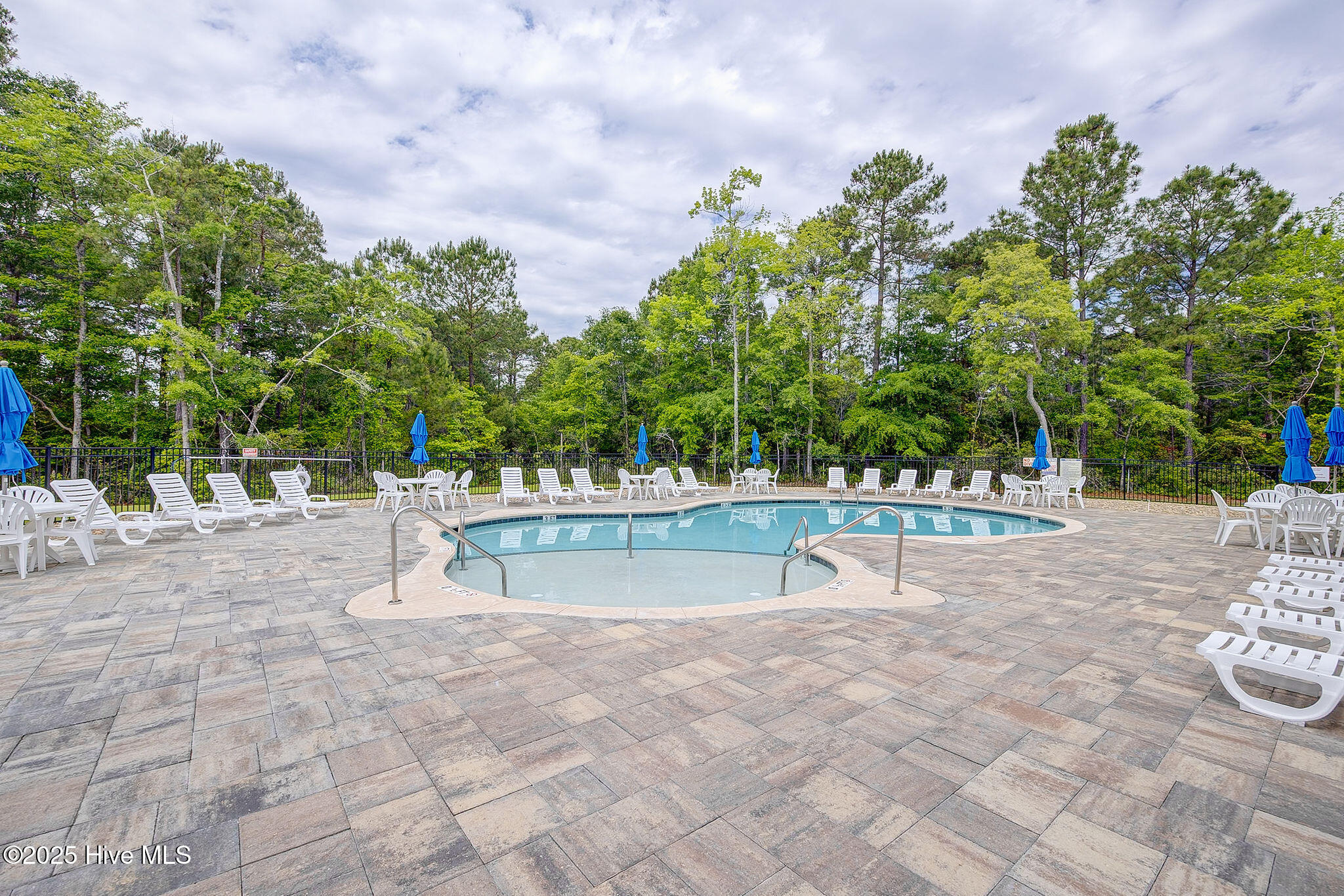 100506096 | Photo 53