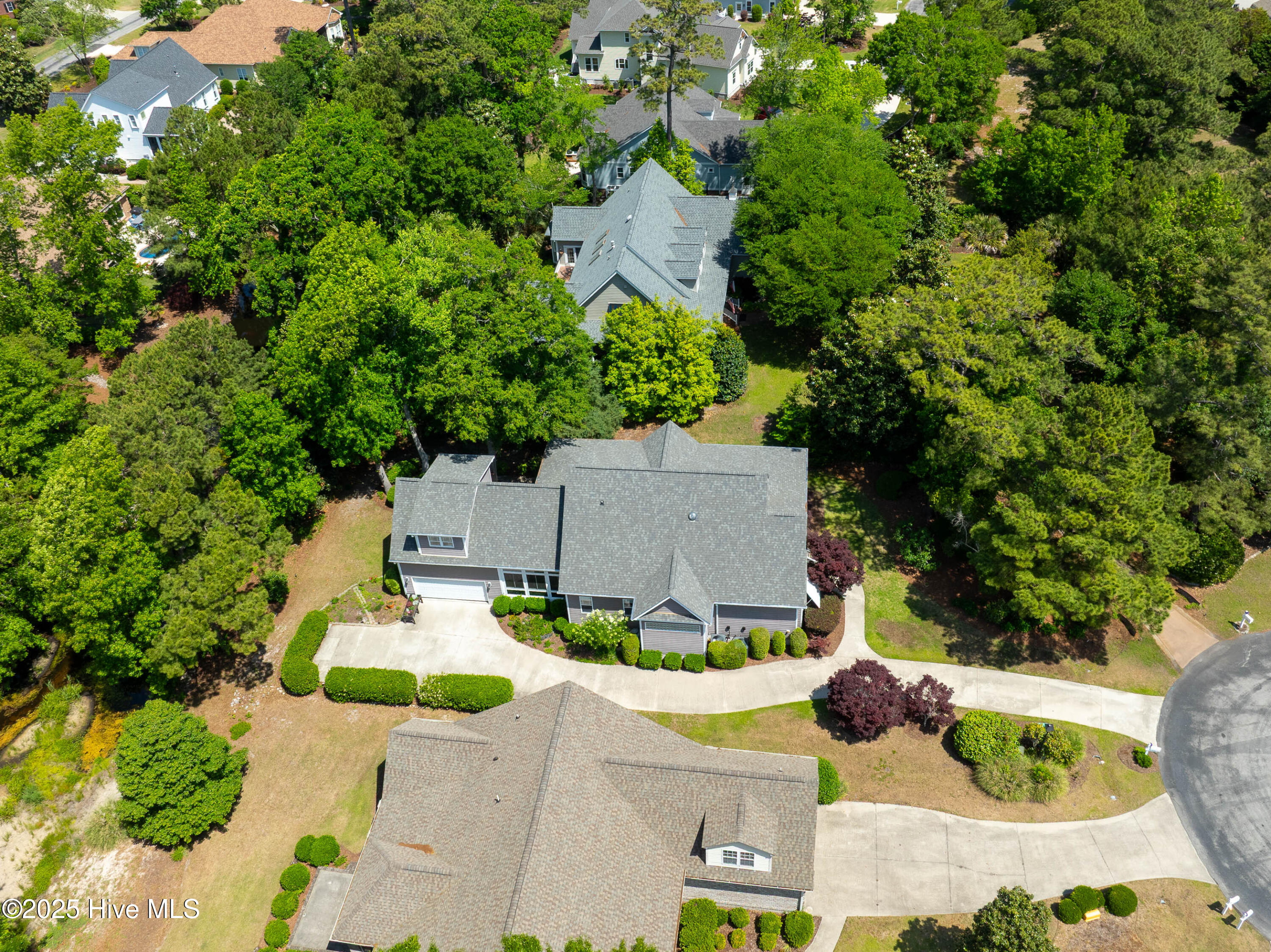 100505939 | Photo 62