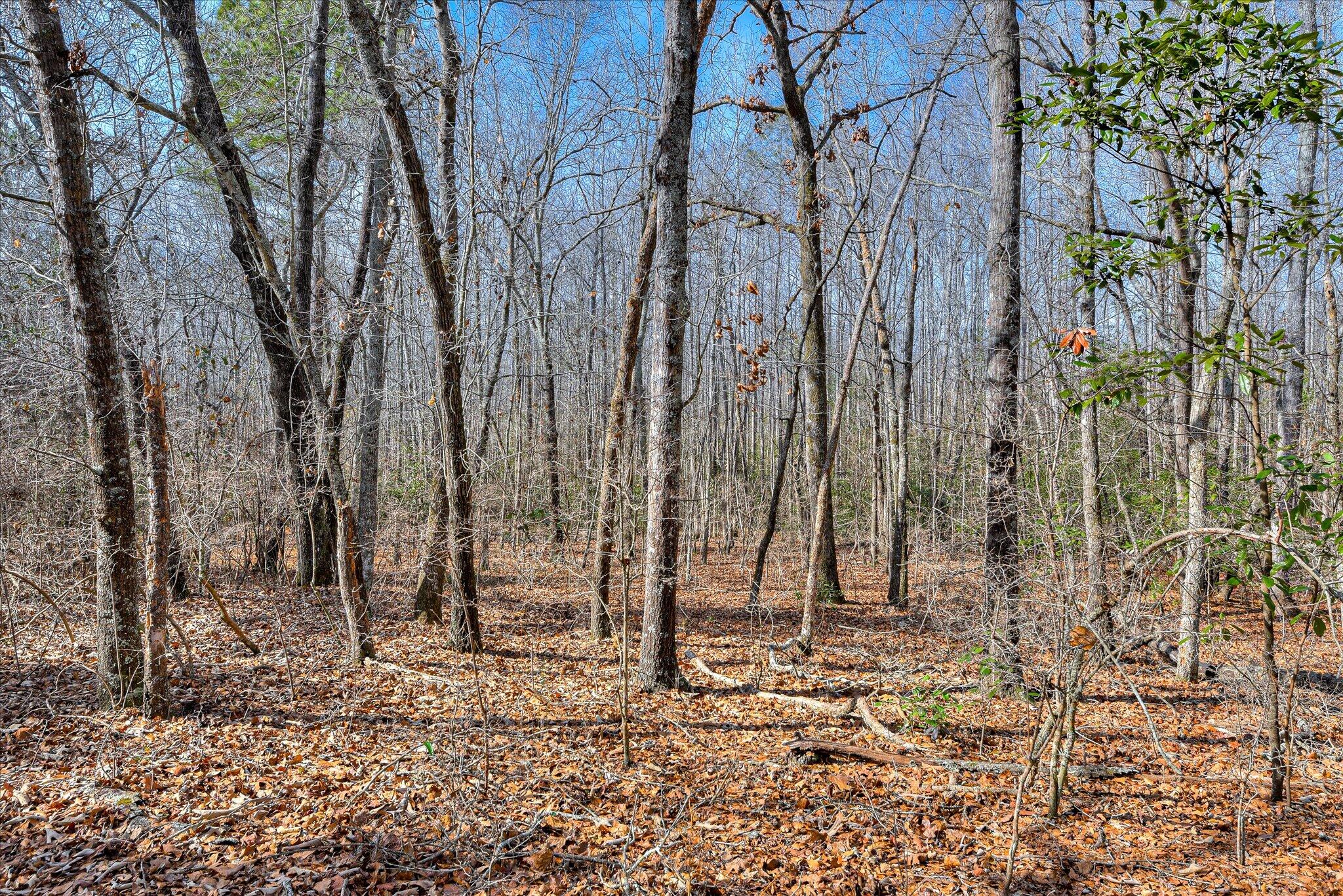 Tract 2 Day Road, Aiken, SC, 29801
