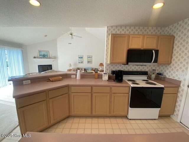 100532170 | Photo 11