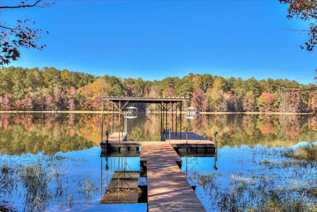 1147 Maiden Cane Way, Lincolnton, GA 30817 Listing Photo  16
