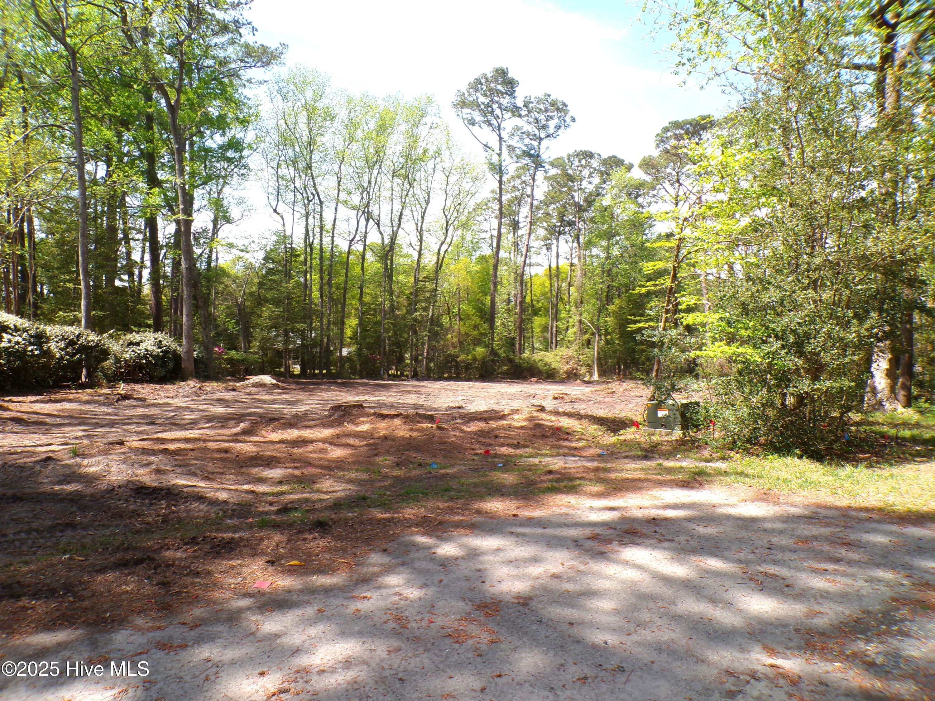 100499822 | Photo 20