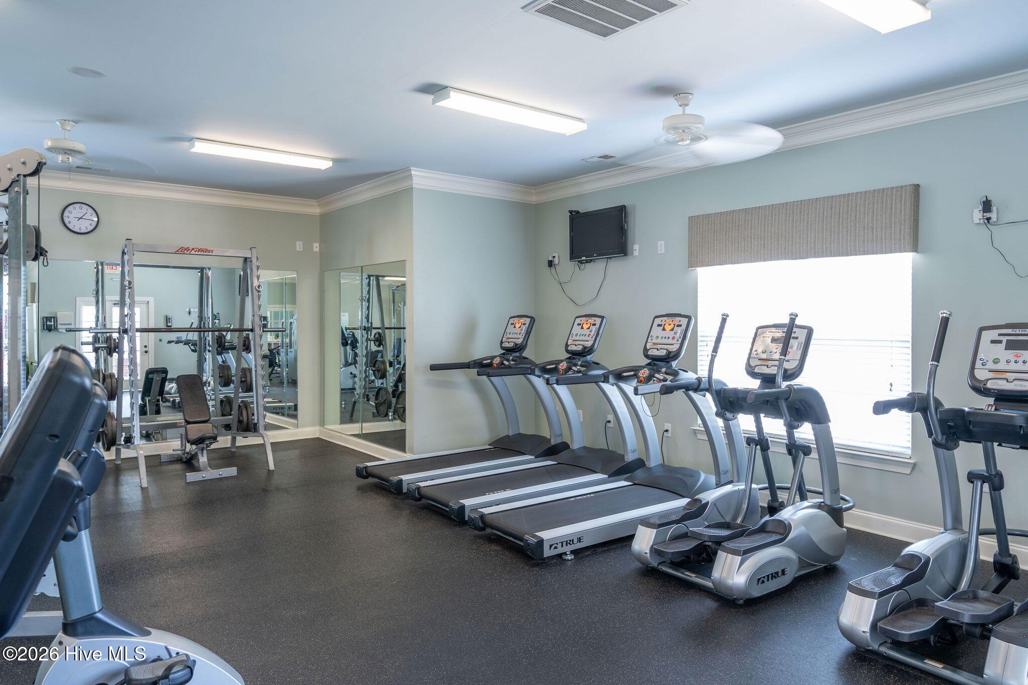 100559771 | Photo 48