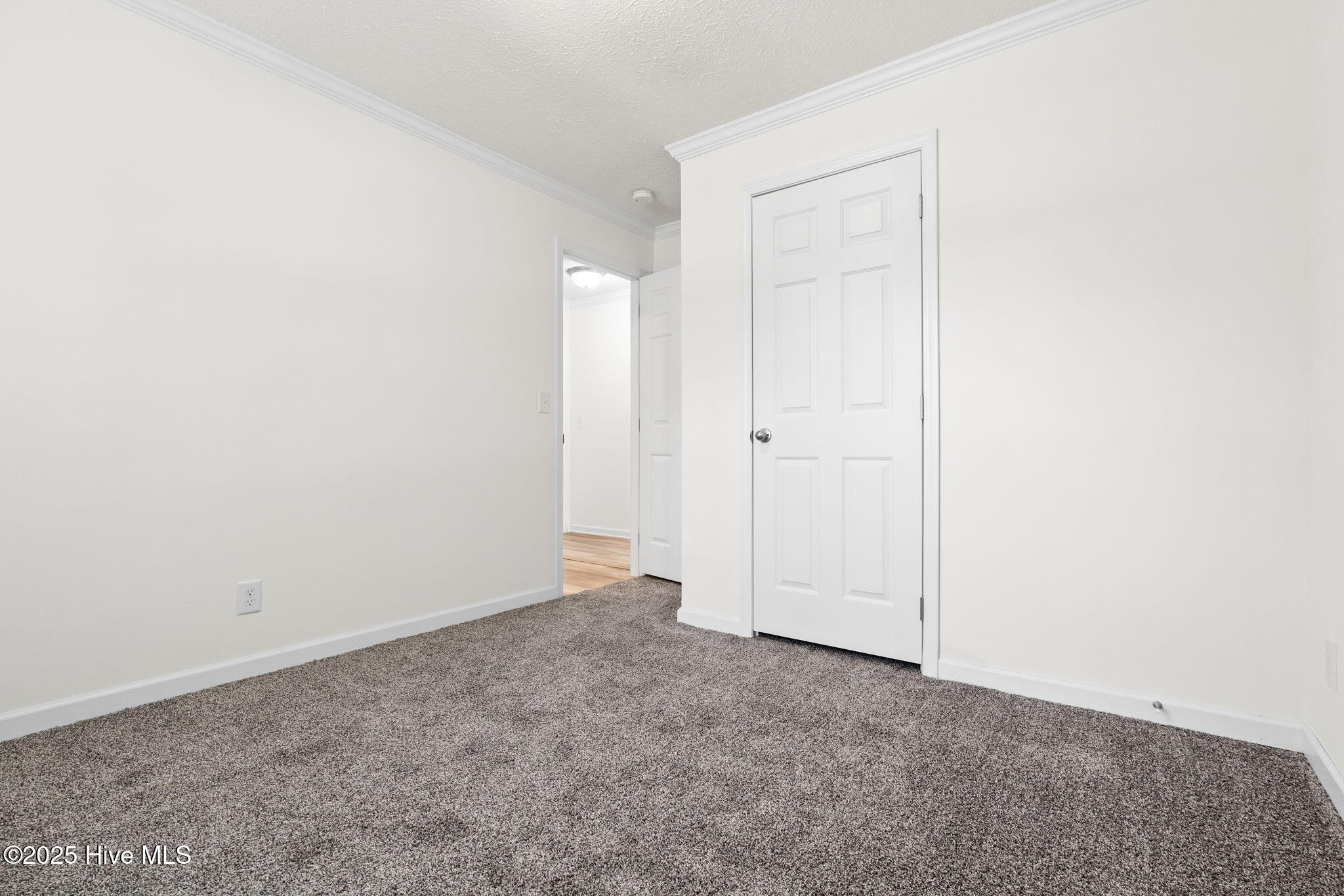 100542585 | Photo 23