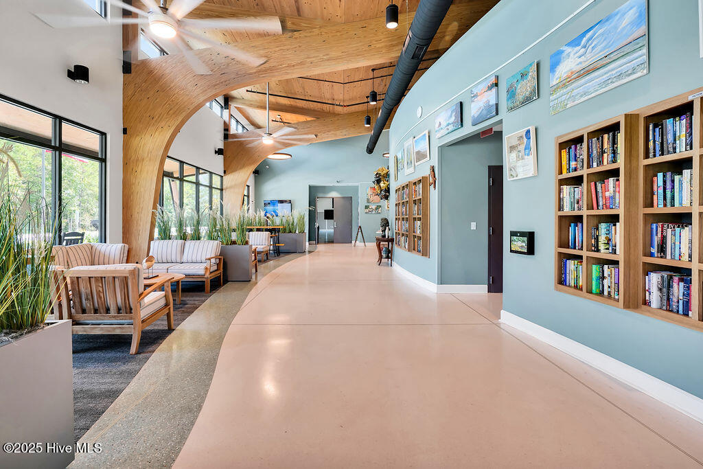 100535984 | Photo 123