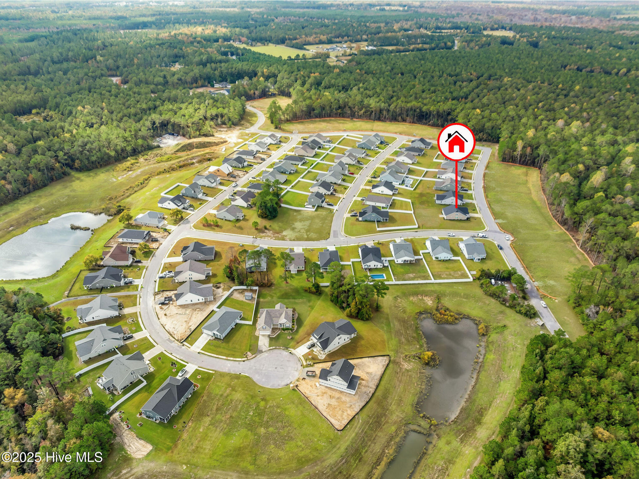 100542569 | Photo 47