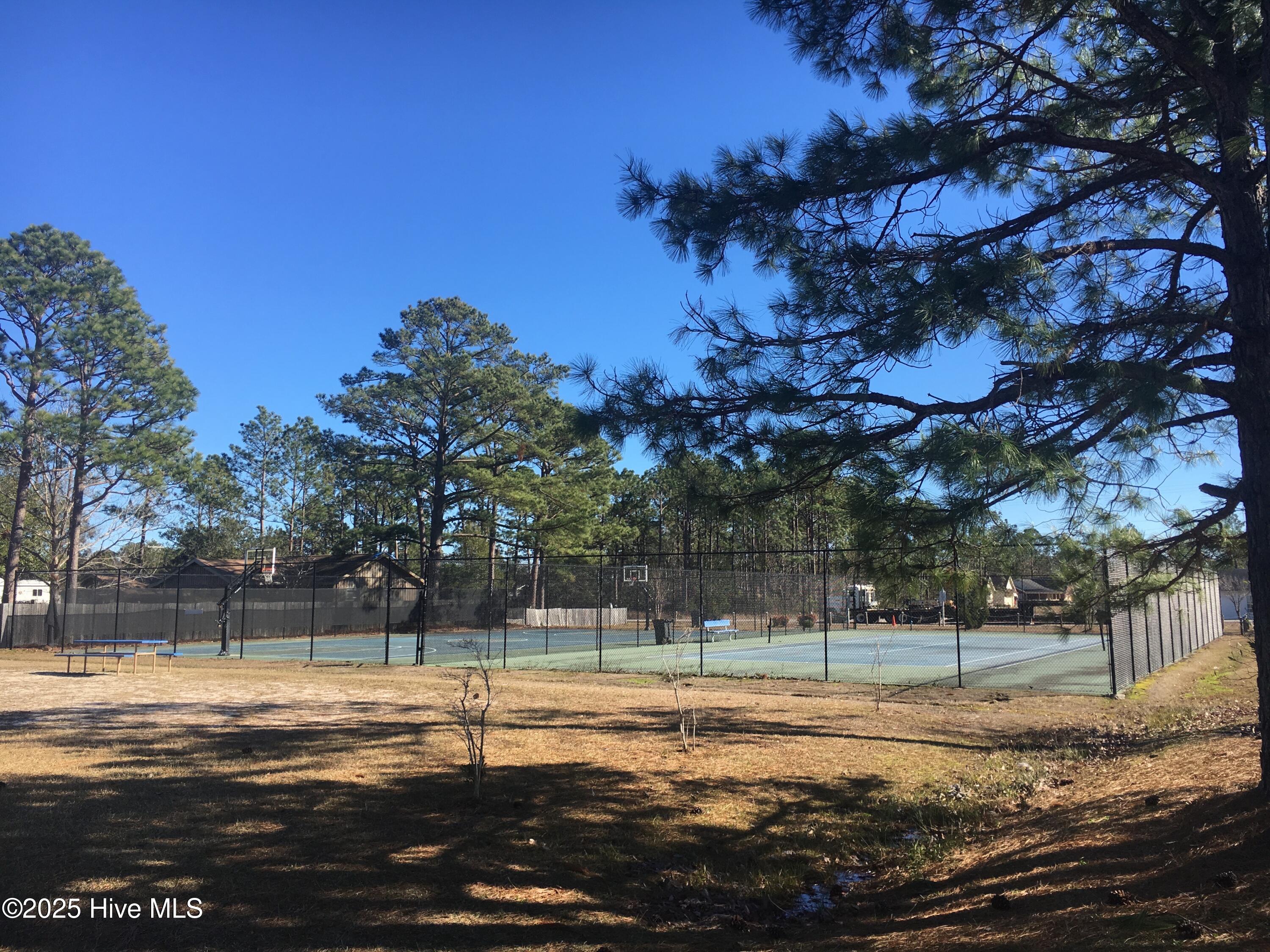 100563983 | Photo 34