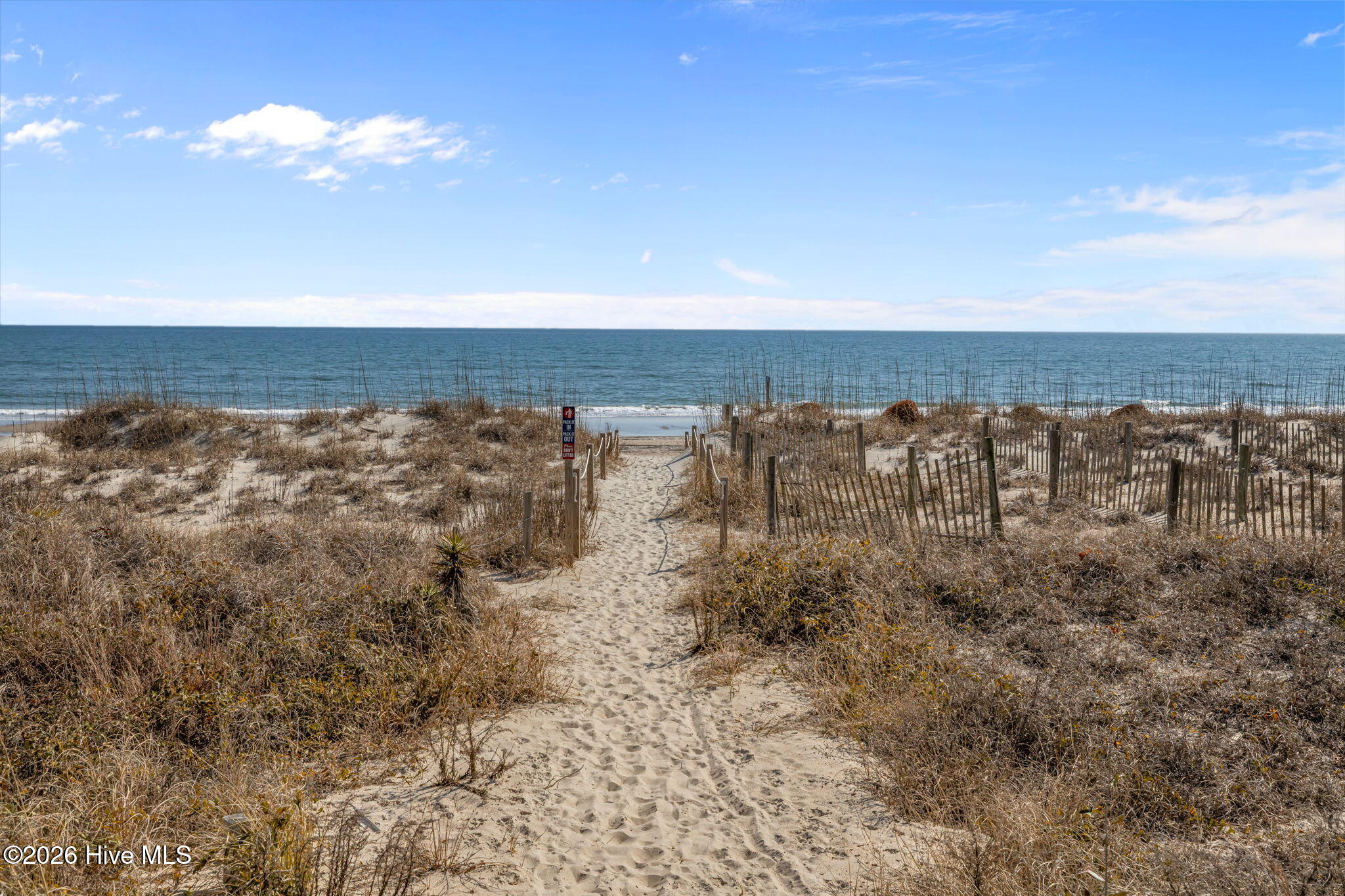 100557807 | Photo 34