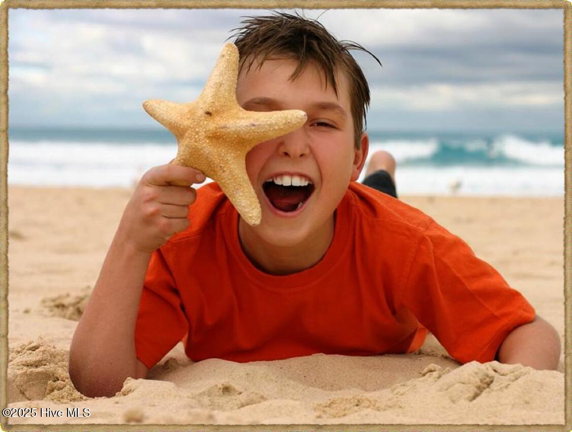 100524017 | Photo 27