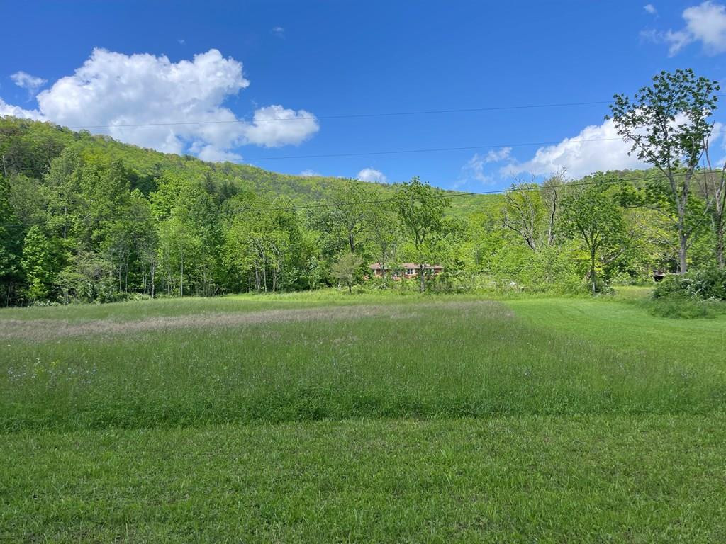 Listing Photo 98524426