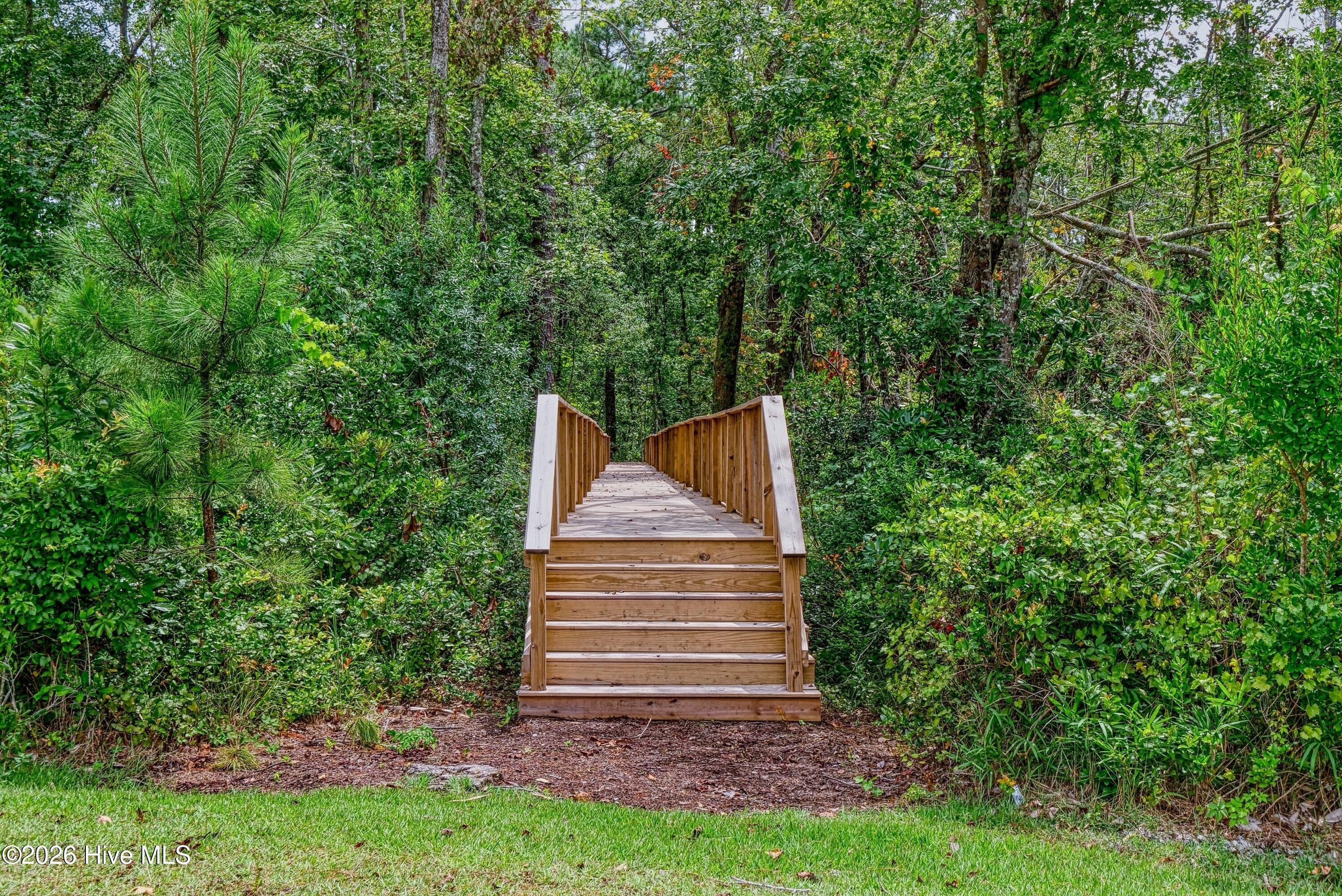 100567023 | Photo 36