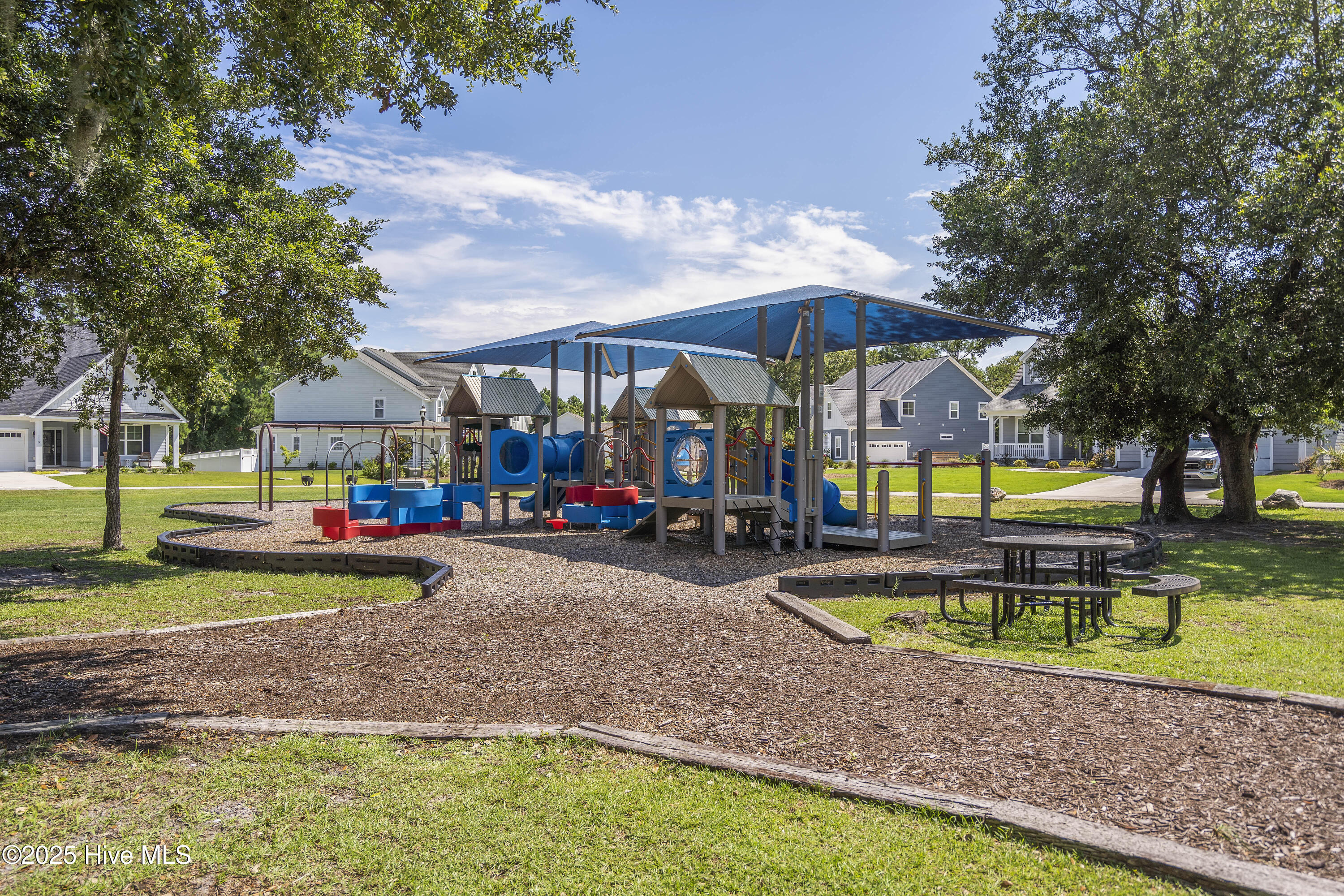 100524767 | Photo 86