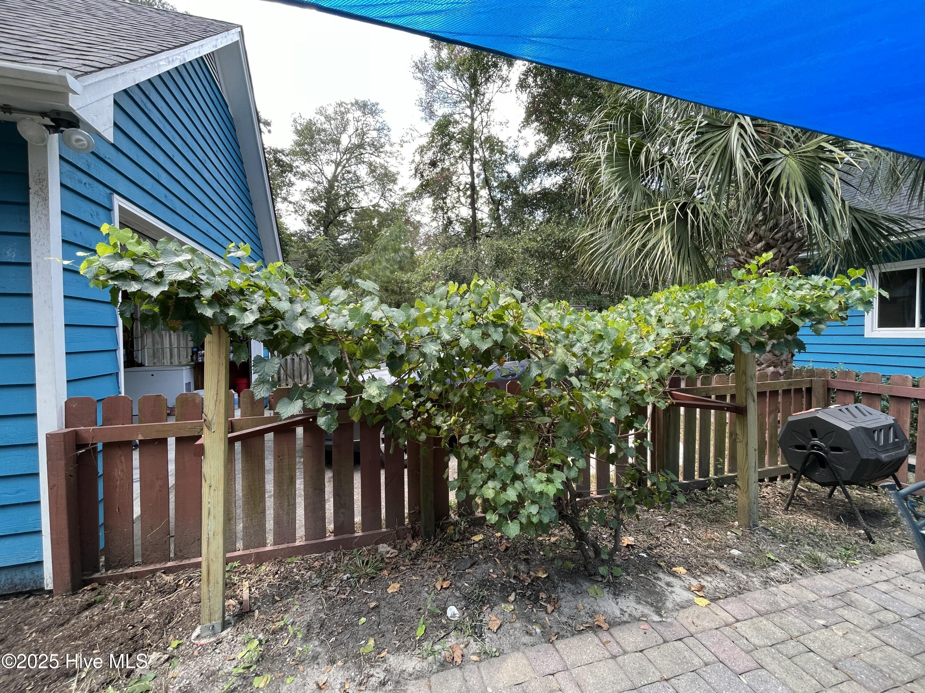 100533907 | Photo 29