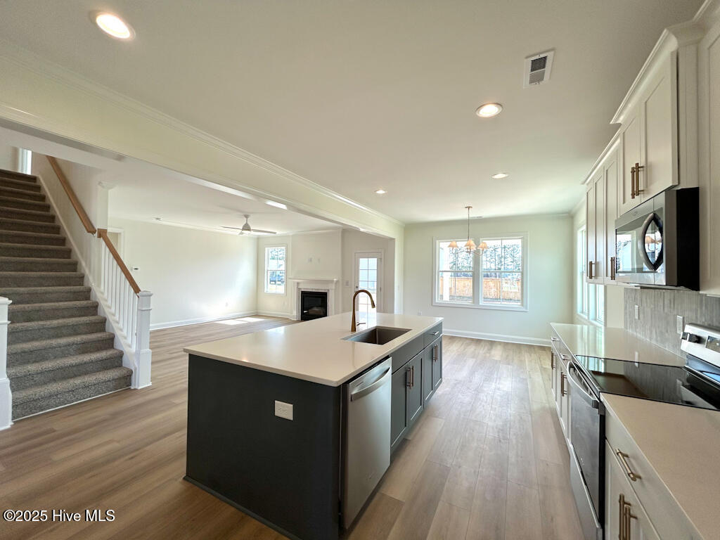 100479294 | Photo 18