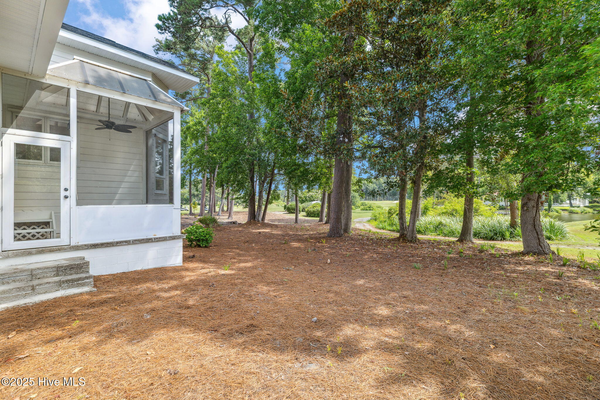 100517778 | Photo 48