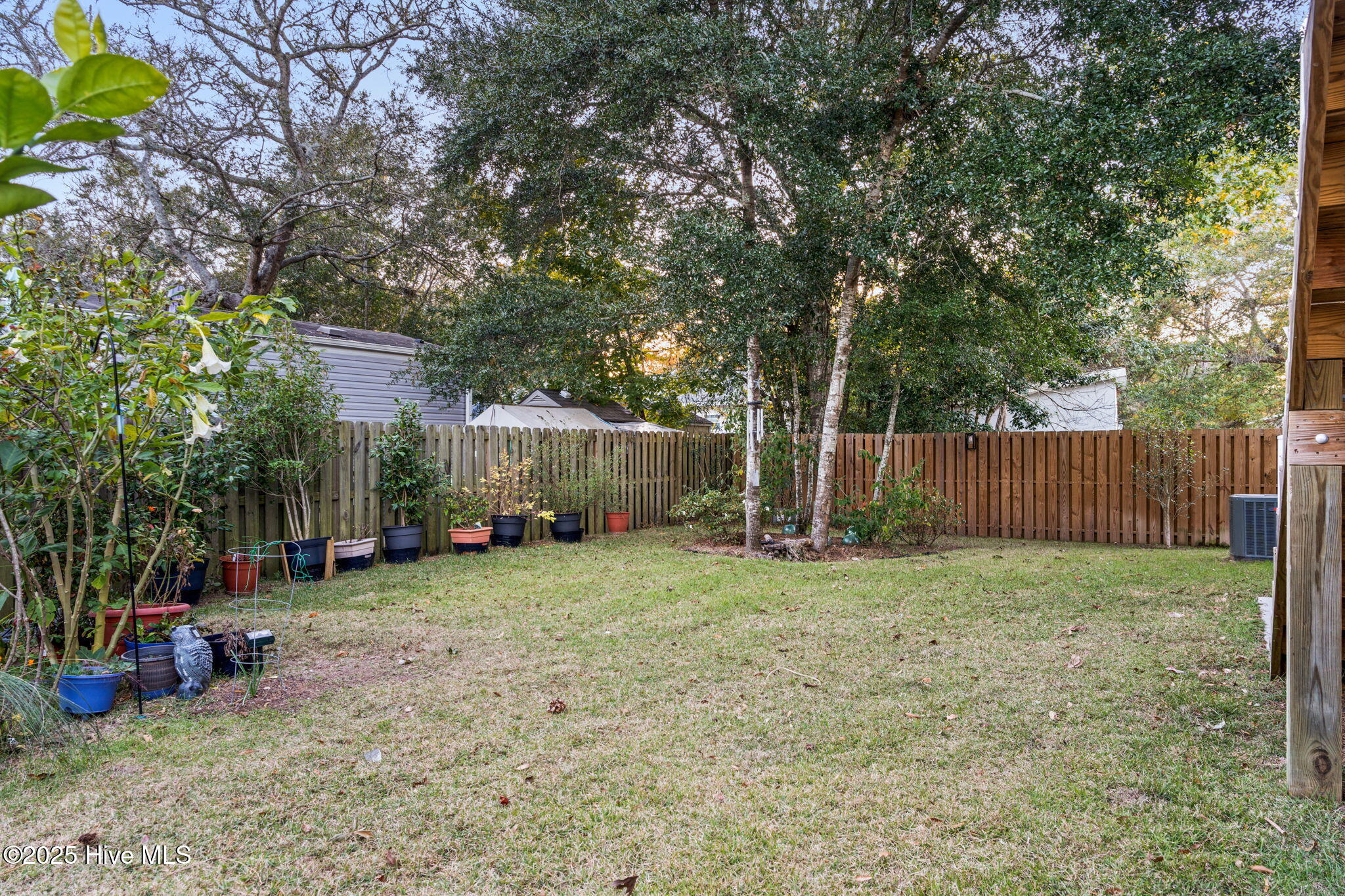 100564542 | Photo 59