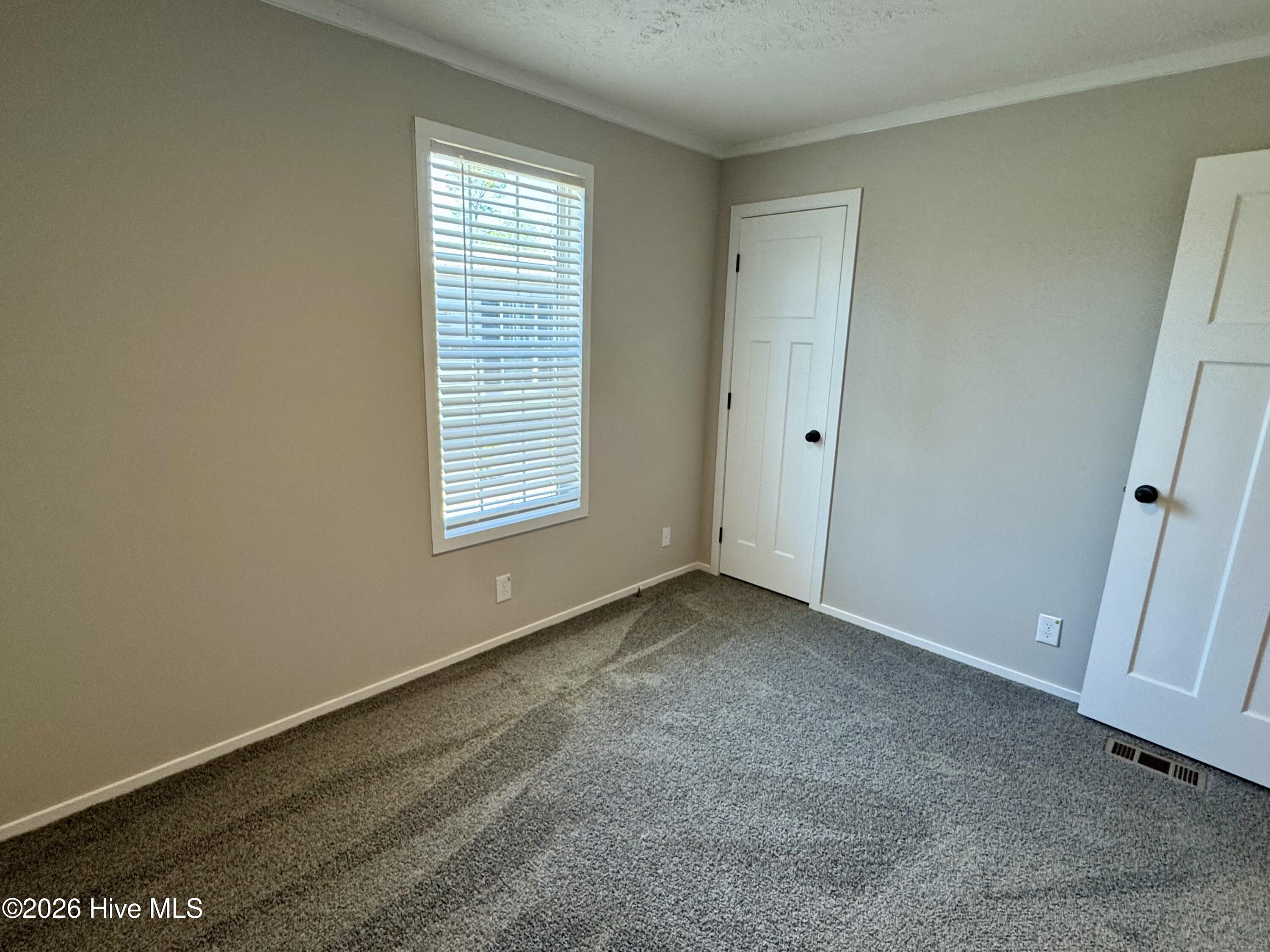 100559135 | Photo 10