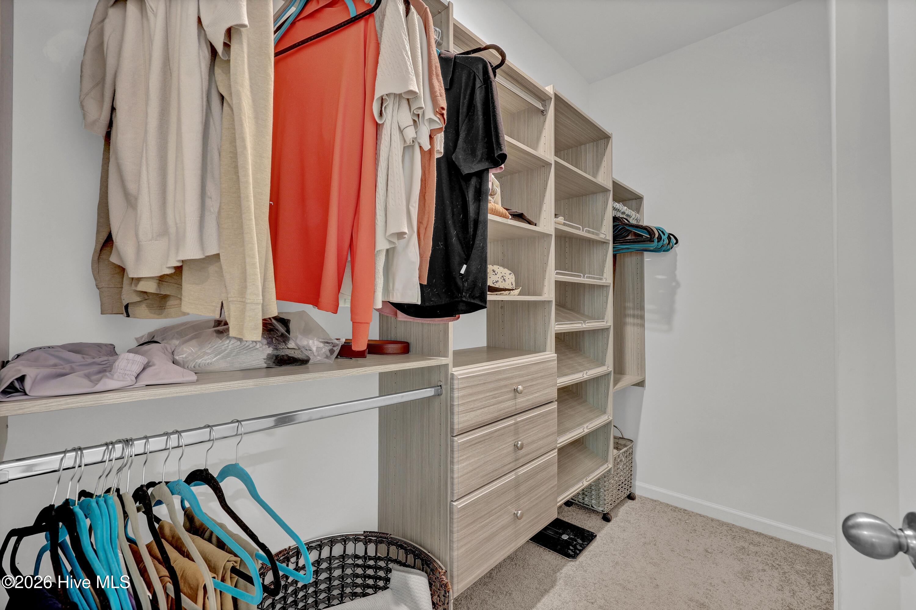 100567847 | Photo 18