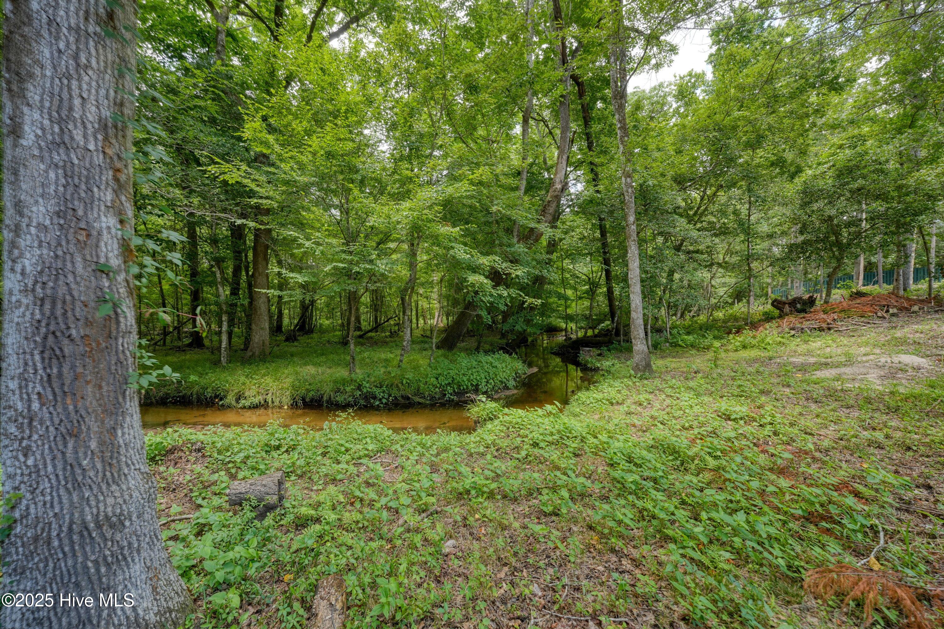 100515294 | Photo 46