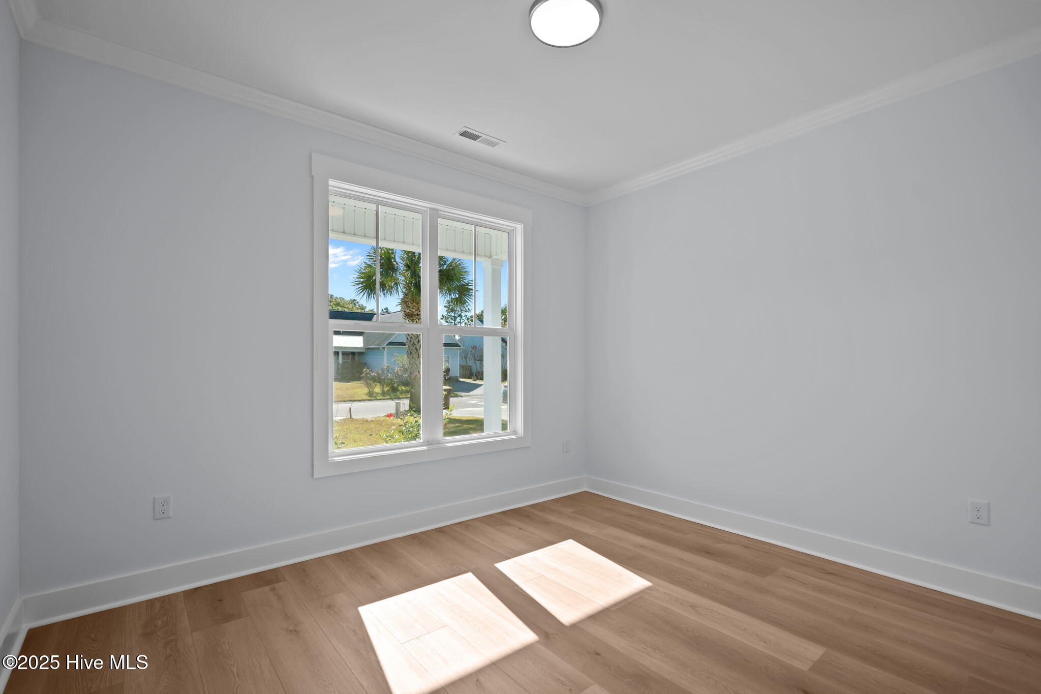 100542016 | Photo 31