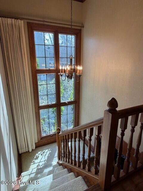 100551549 | Photo 25