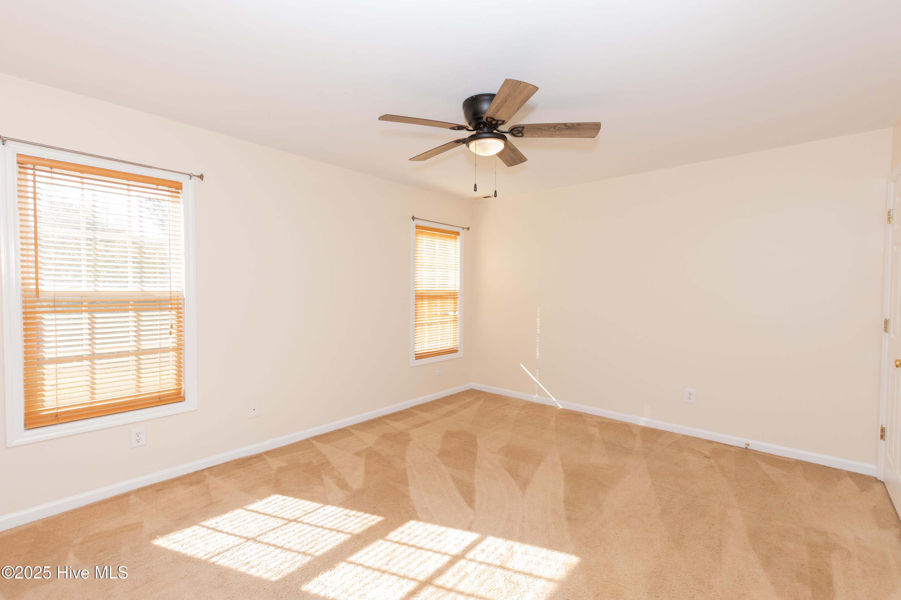 100541193 | Photo 25