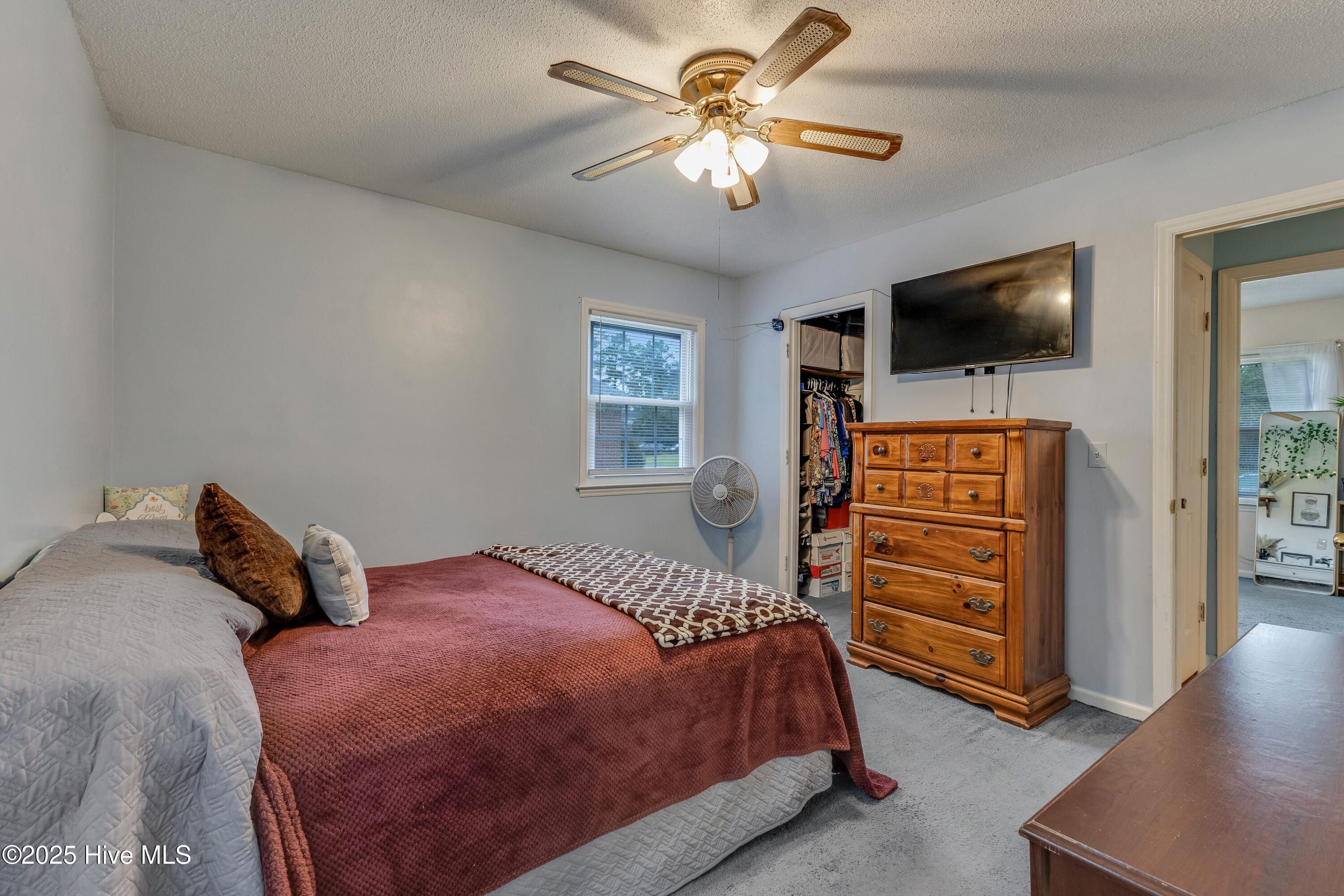 100537162 | Photo 17