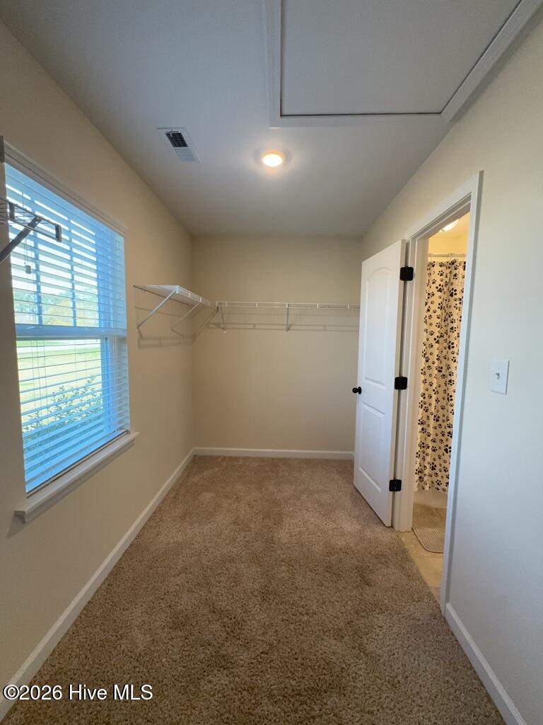 100563176 | Photo 19