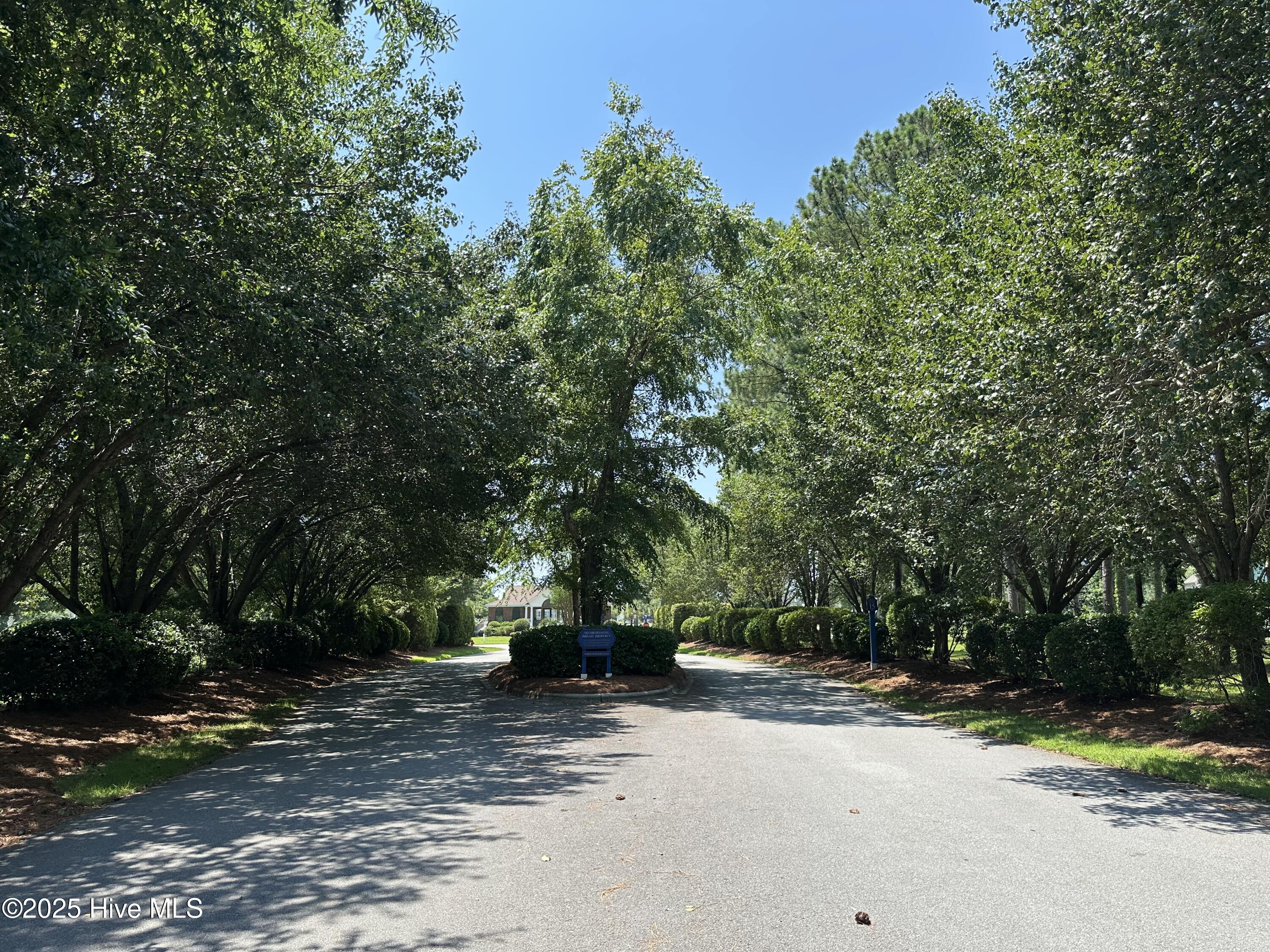 100558486 | Photo 40