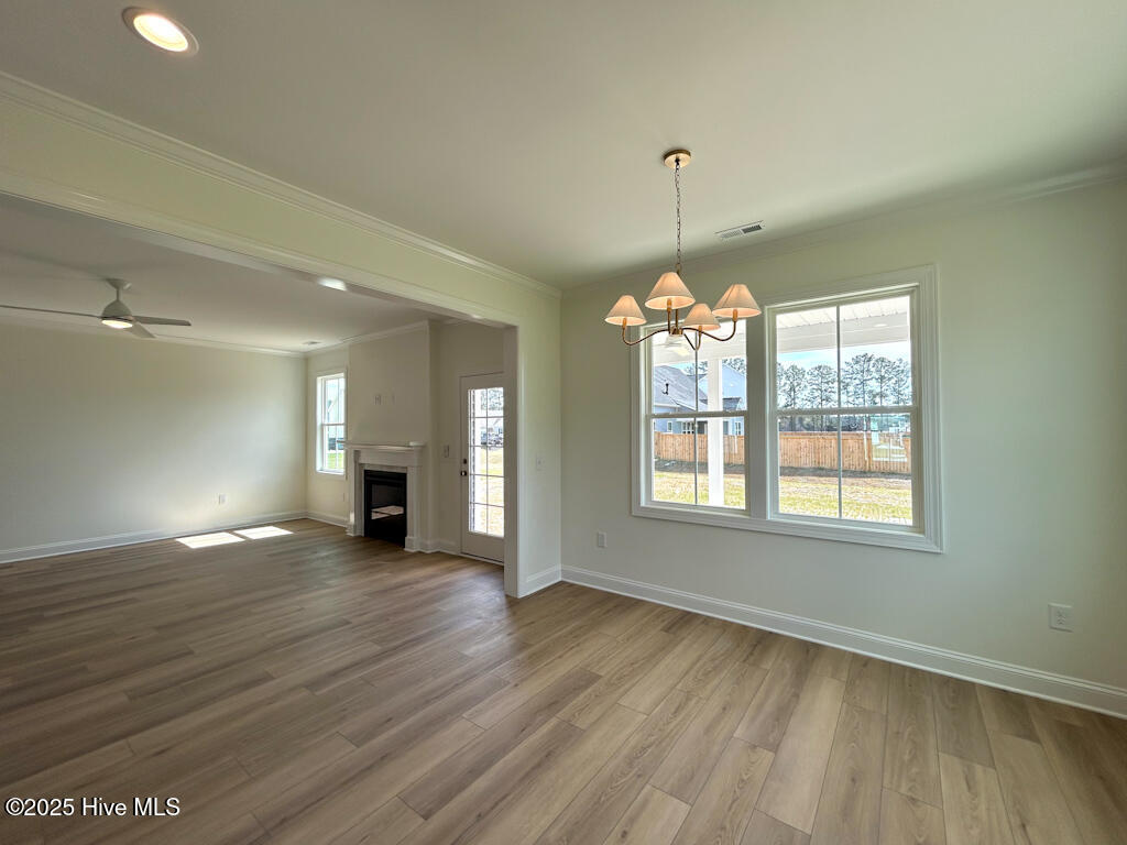 100479294 | Photo 27