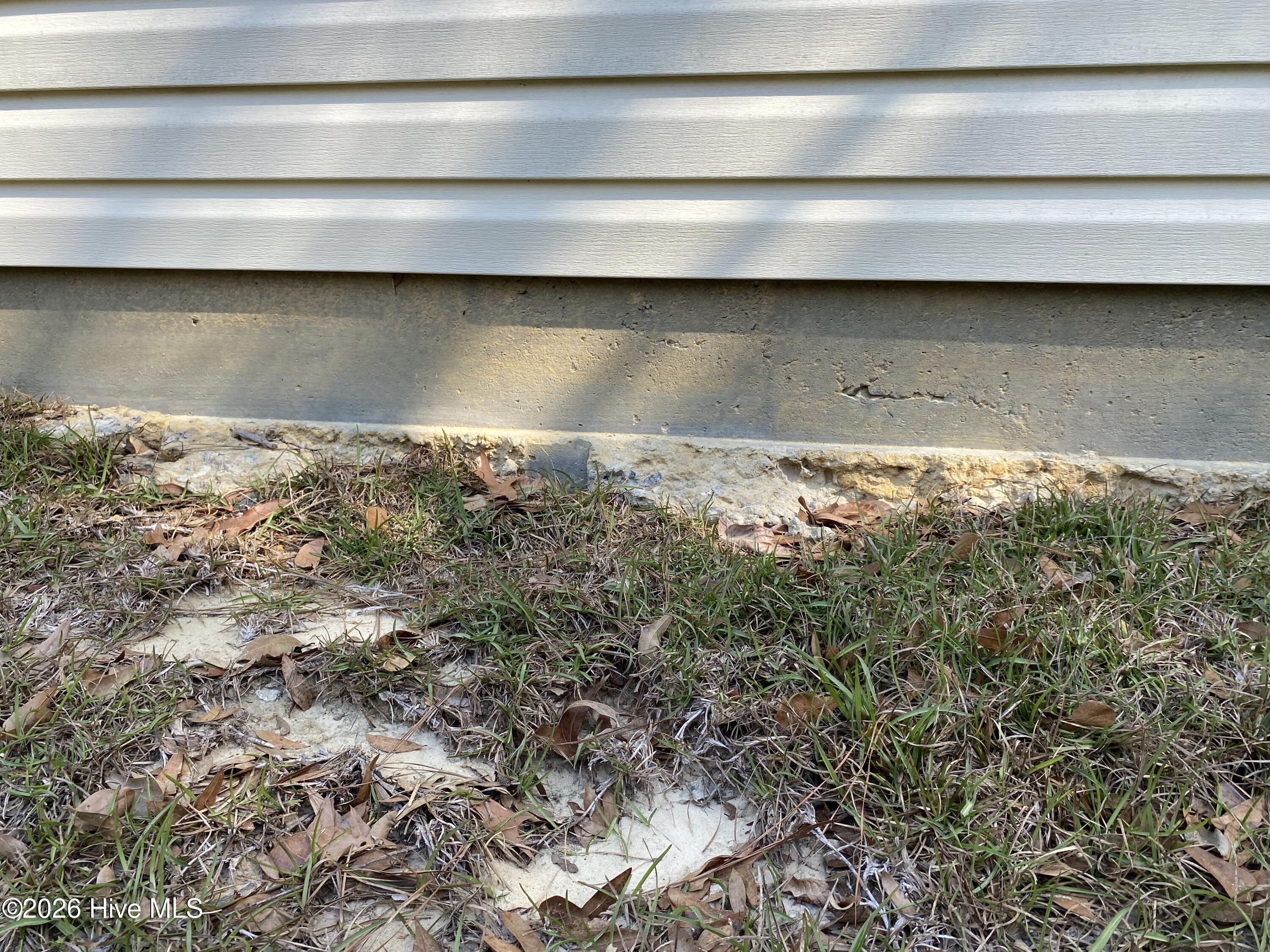 100566692 | Photo 11