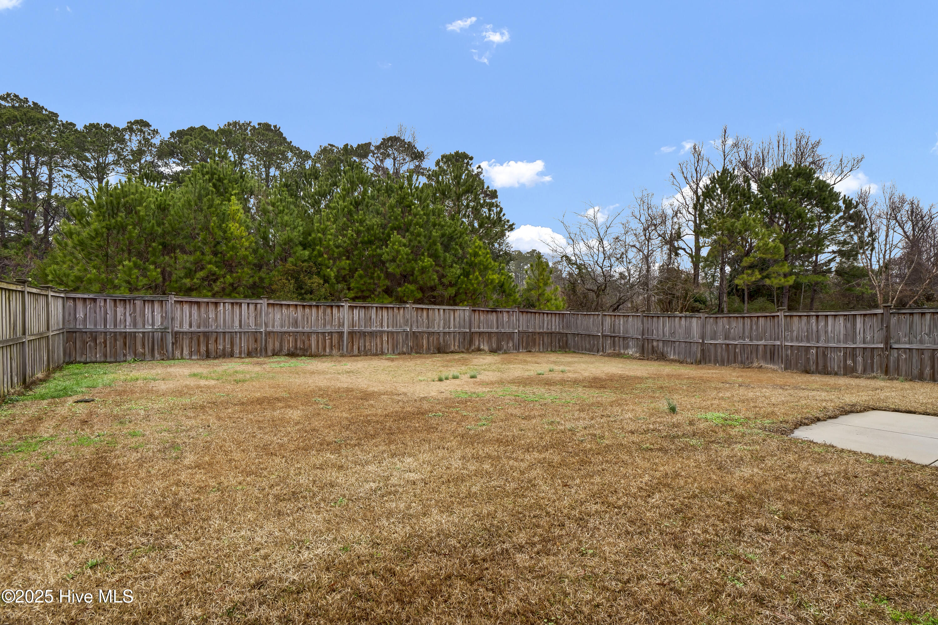 100488787 | Photo 30