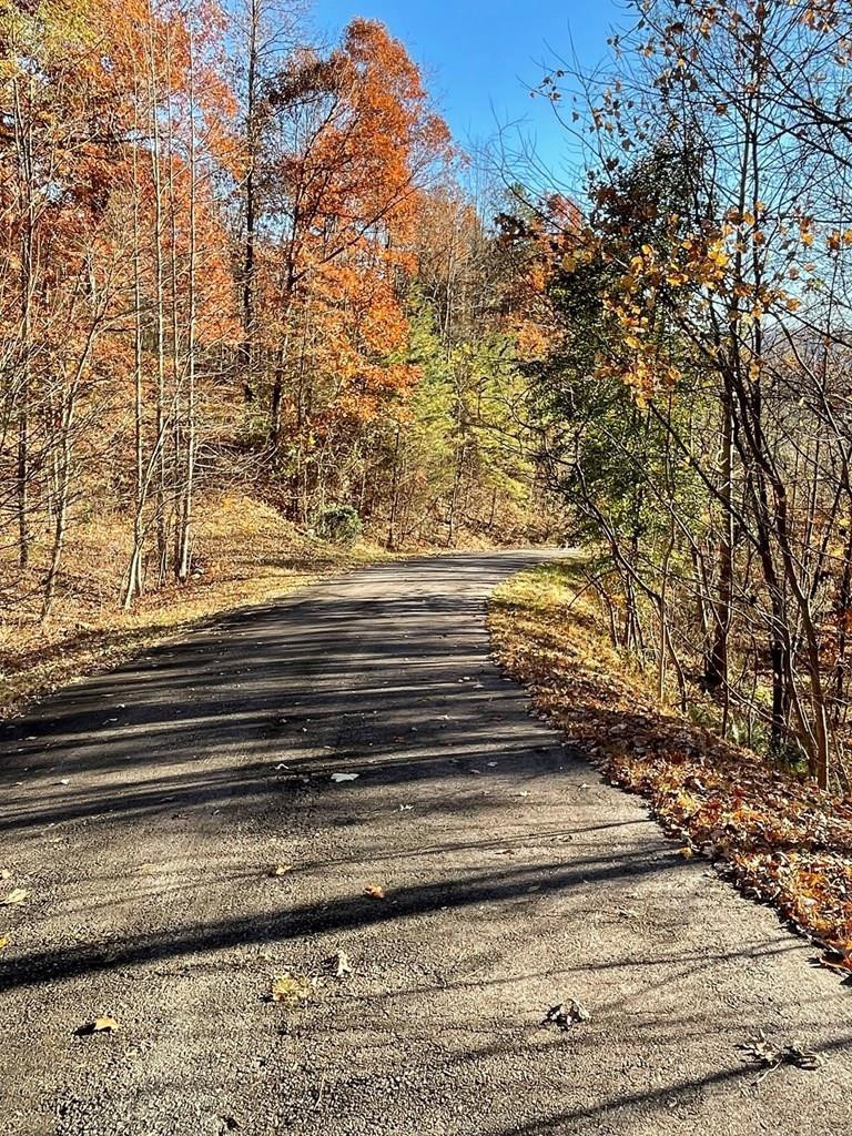 Exterior photo of Lot 41C Ash Branch Circle, Hayesville, NC 28904. MLS: 98524976