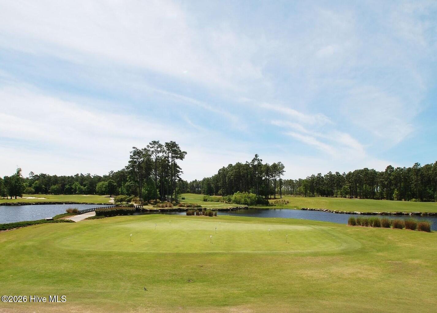 100566129 | Photo 65