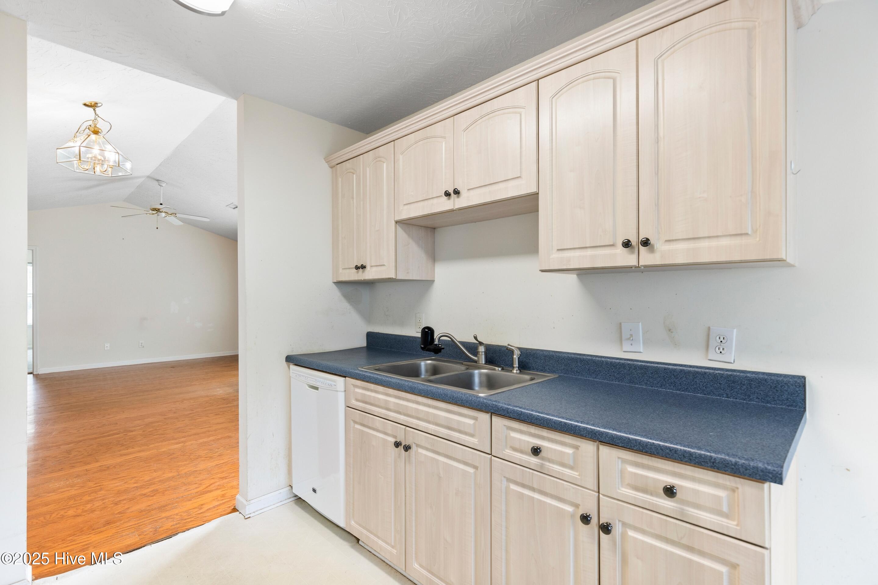 100539007 | Photo 13