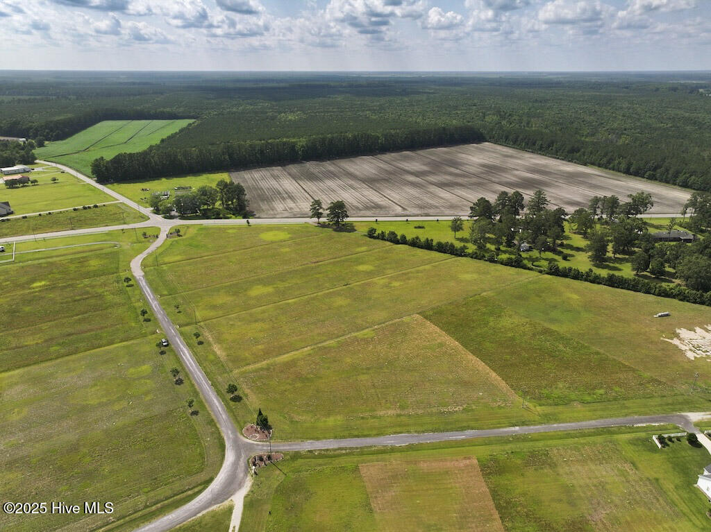 Homes for sale in Belhaven, NC | 02 Dallas Paul Road, Belhaven, NC 27810 | MLS# 100514104