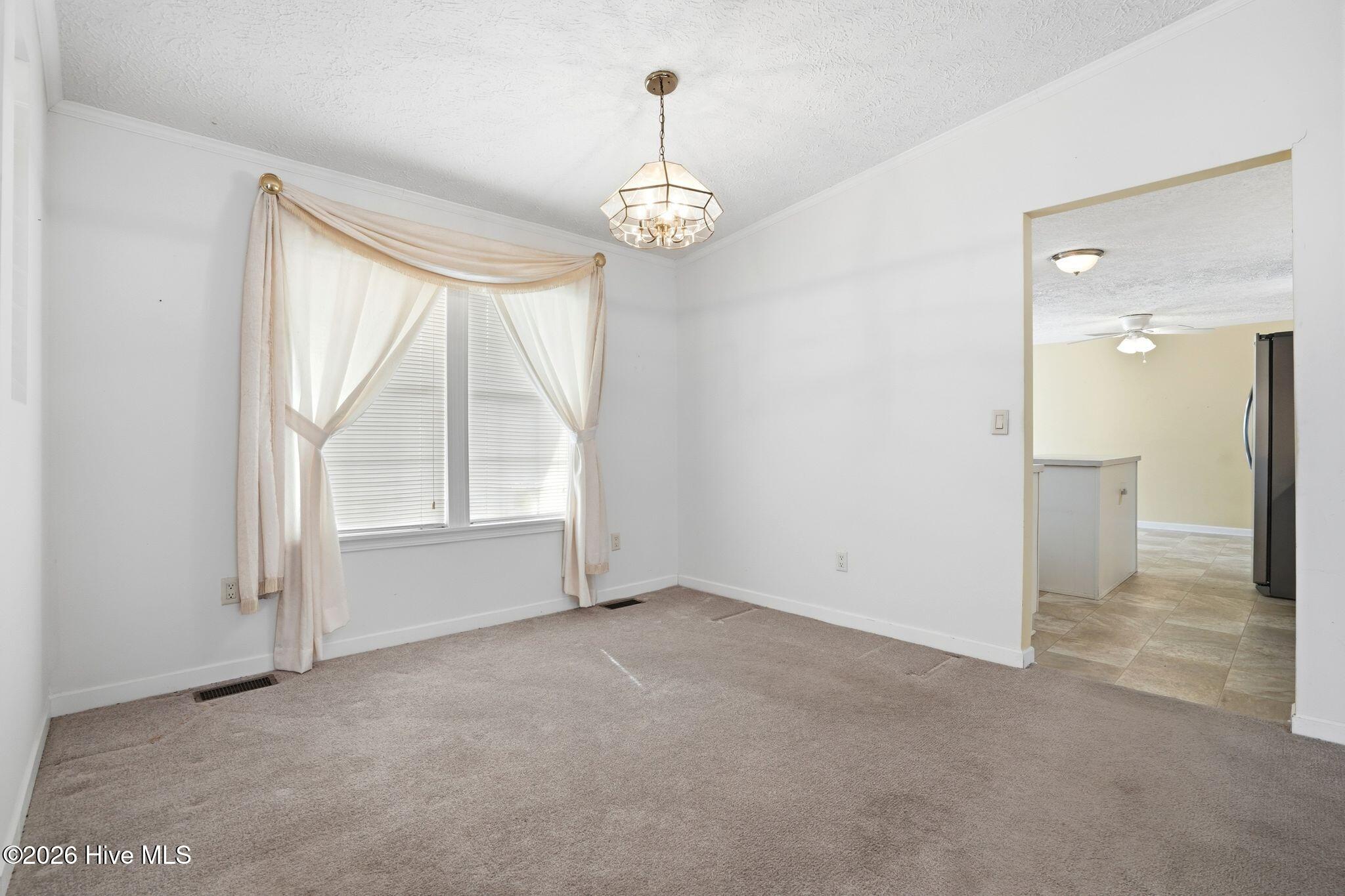 100556115 | Photo 38