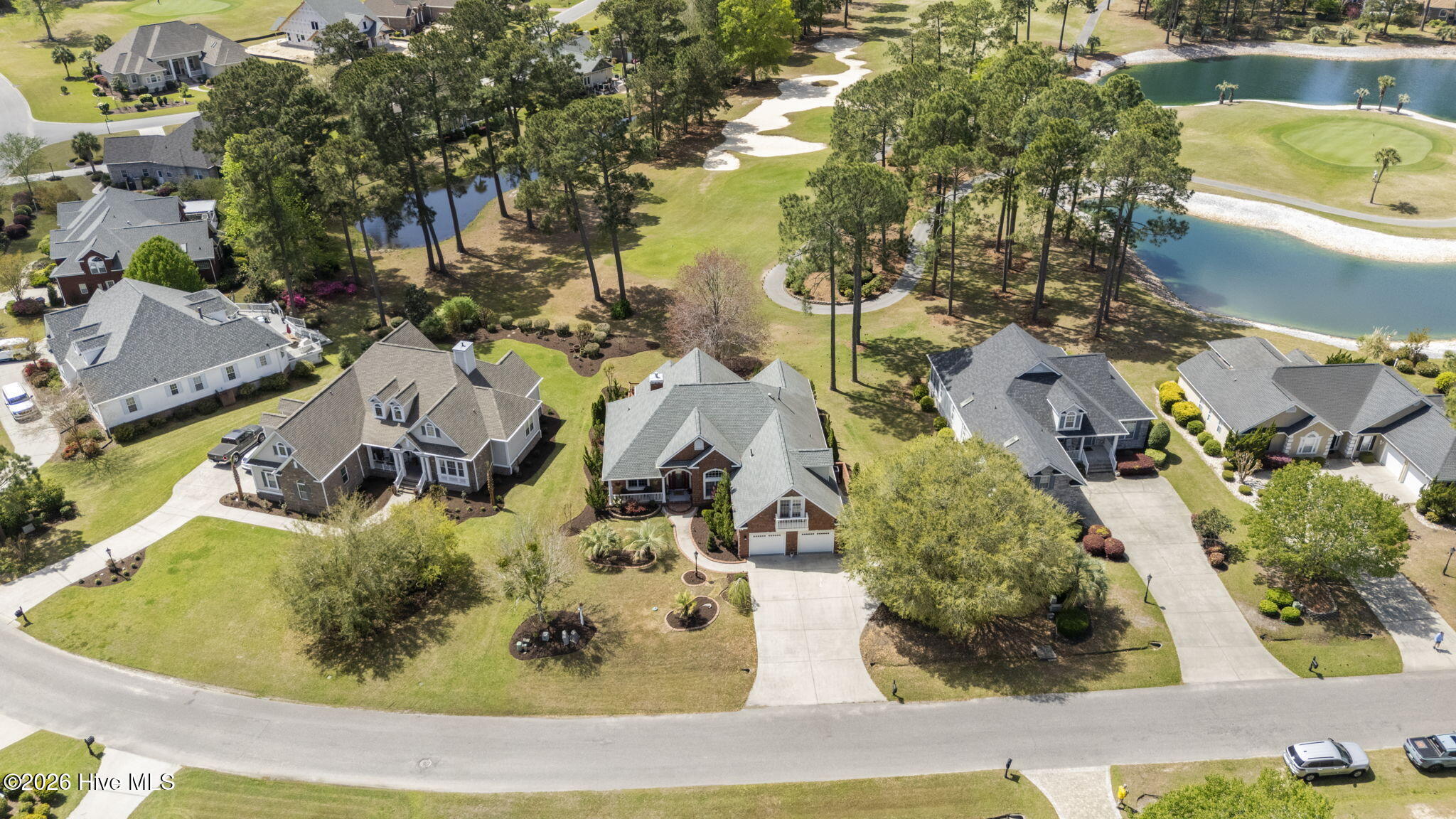 100563951 | Photo 51