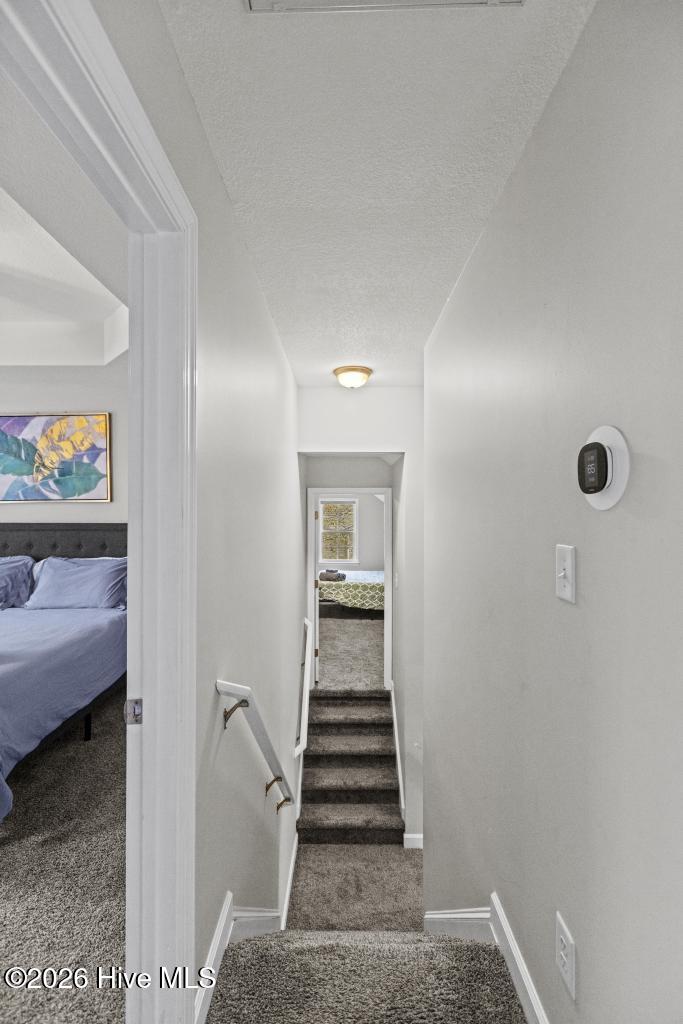 100551053 | Photo 34