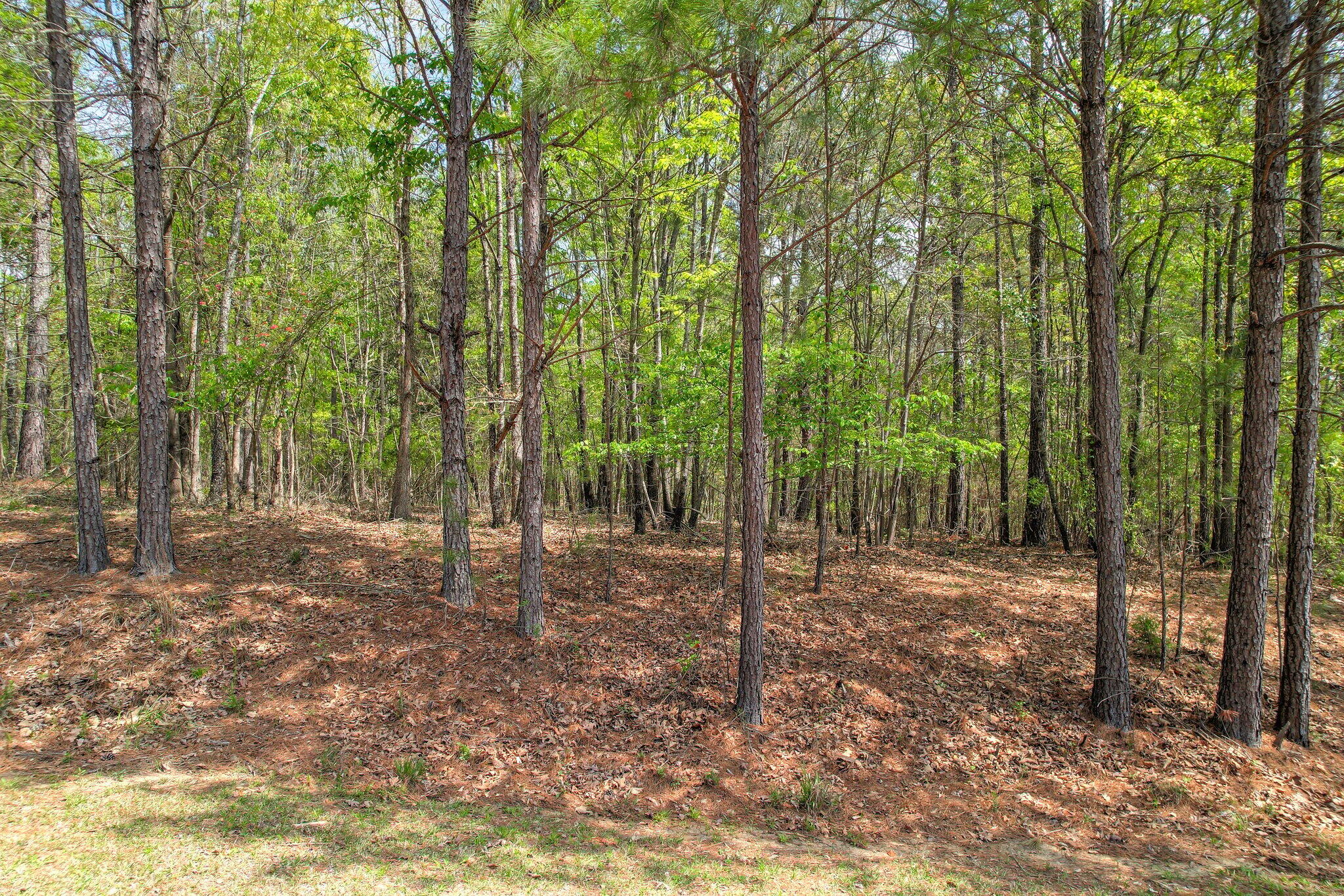 Lot 77 W Plainview Drive, Warrenton, GA, 30828