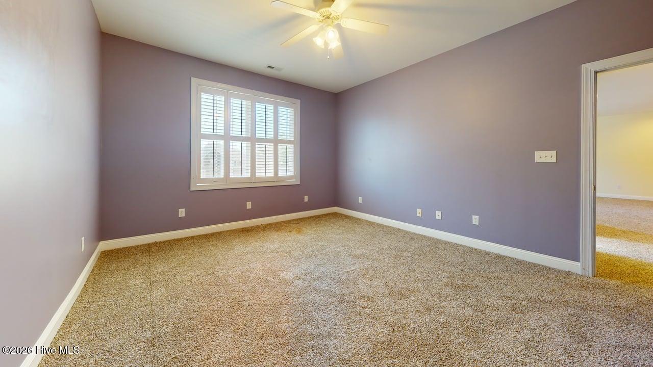 100568487 | Photo 24